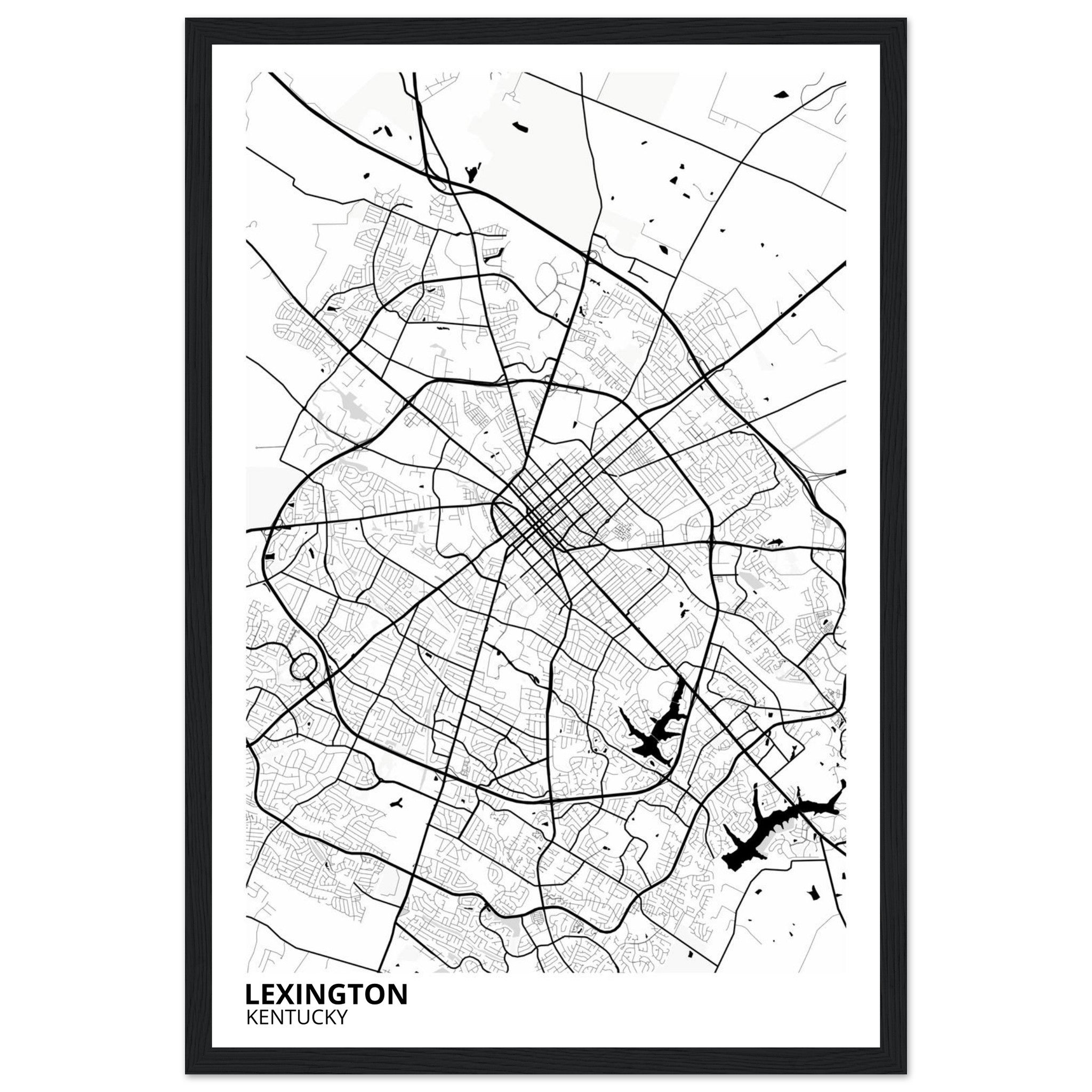 Lexington Kentucky City Map Poster | Custom Map Art Print - Ink And Atlas