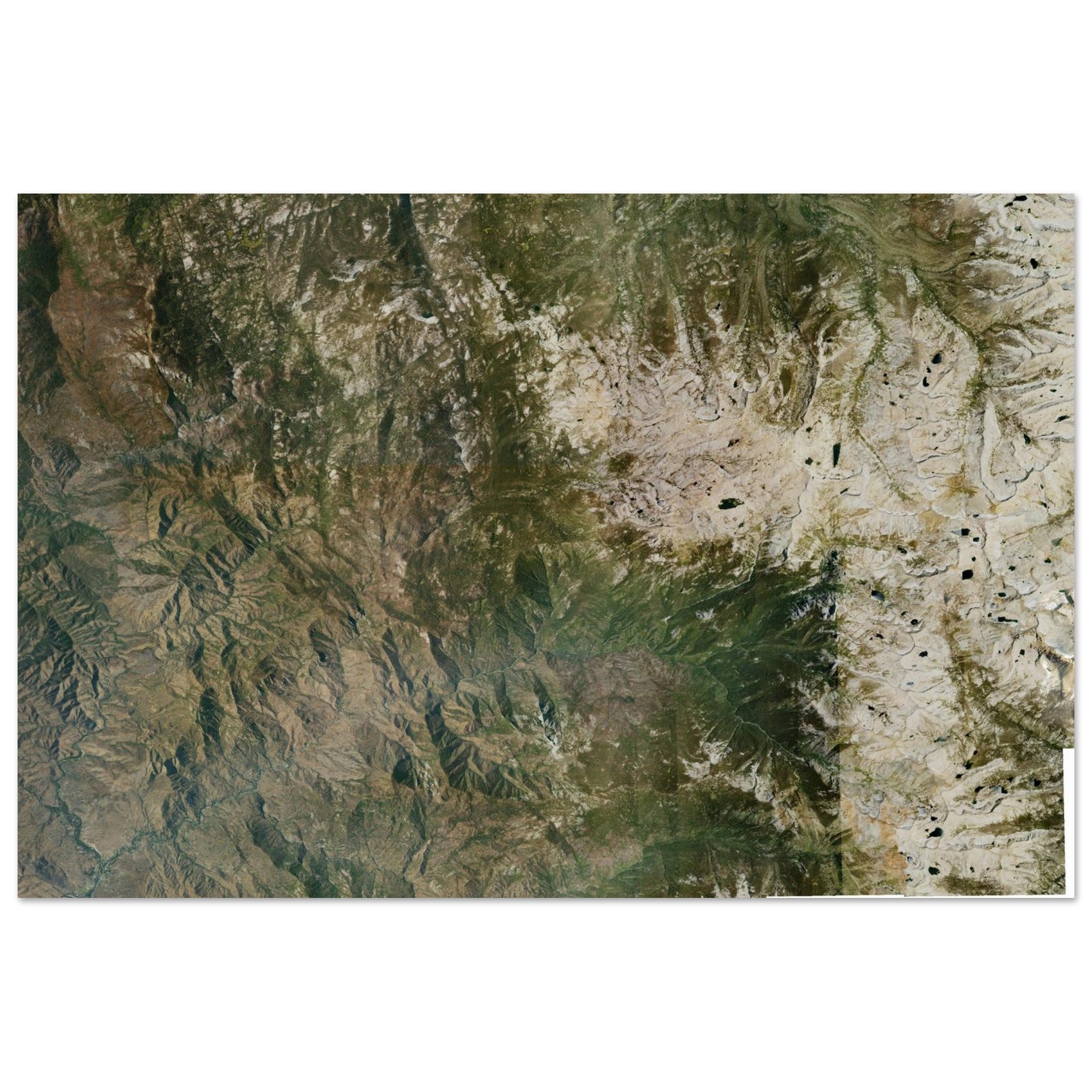 Sequoia National Park Natural Earth Print - Ink And Atlas