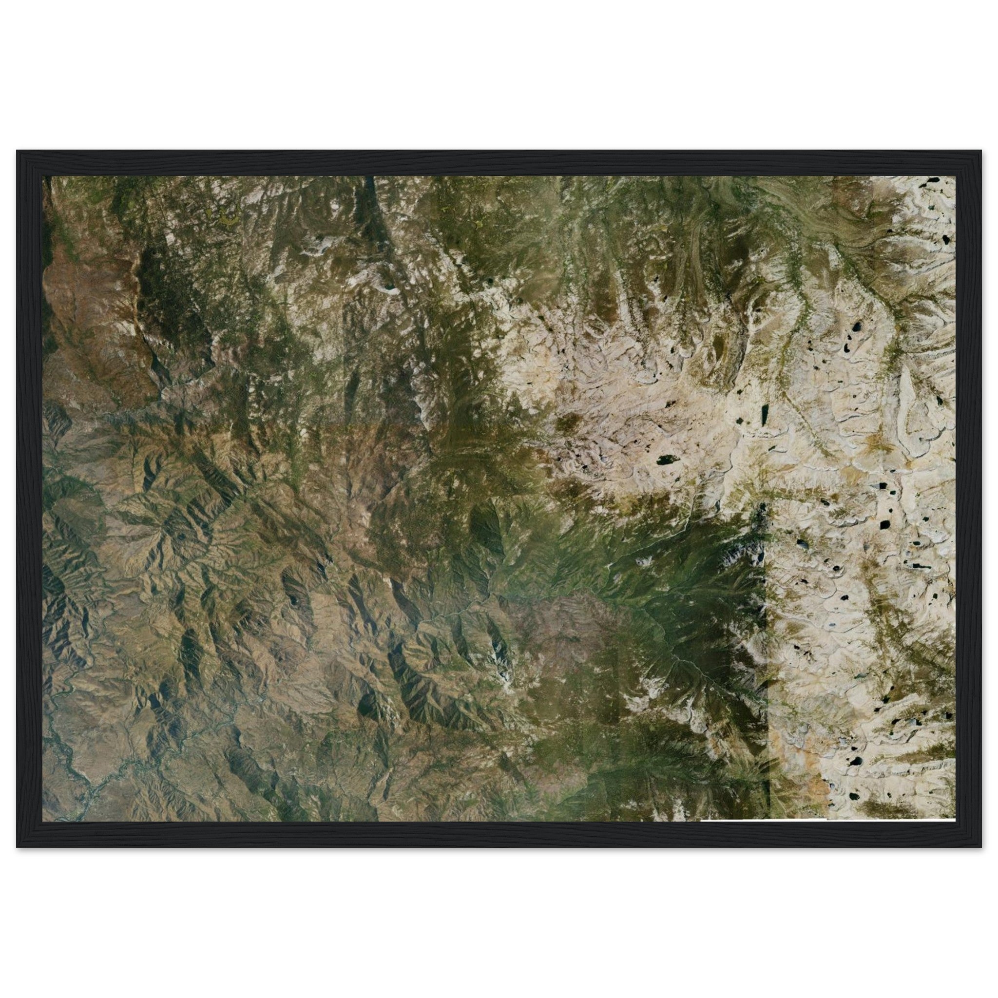 Sequoia National Park Natural Earth Print - Ink And Atlas