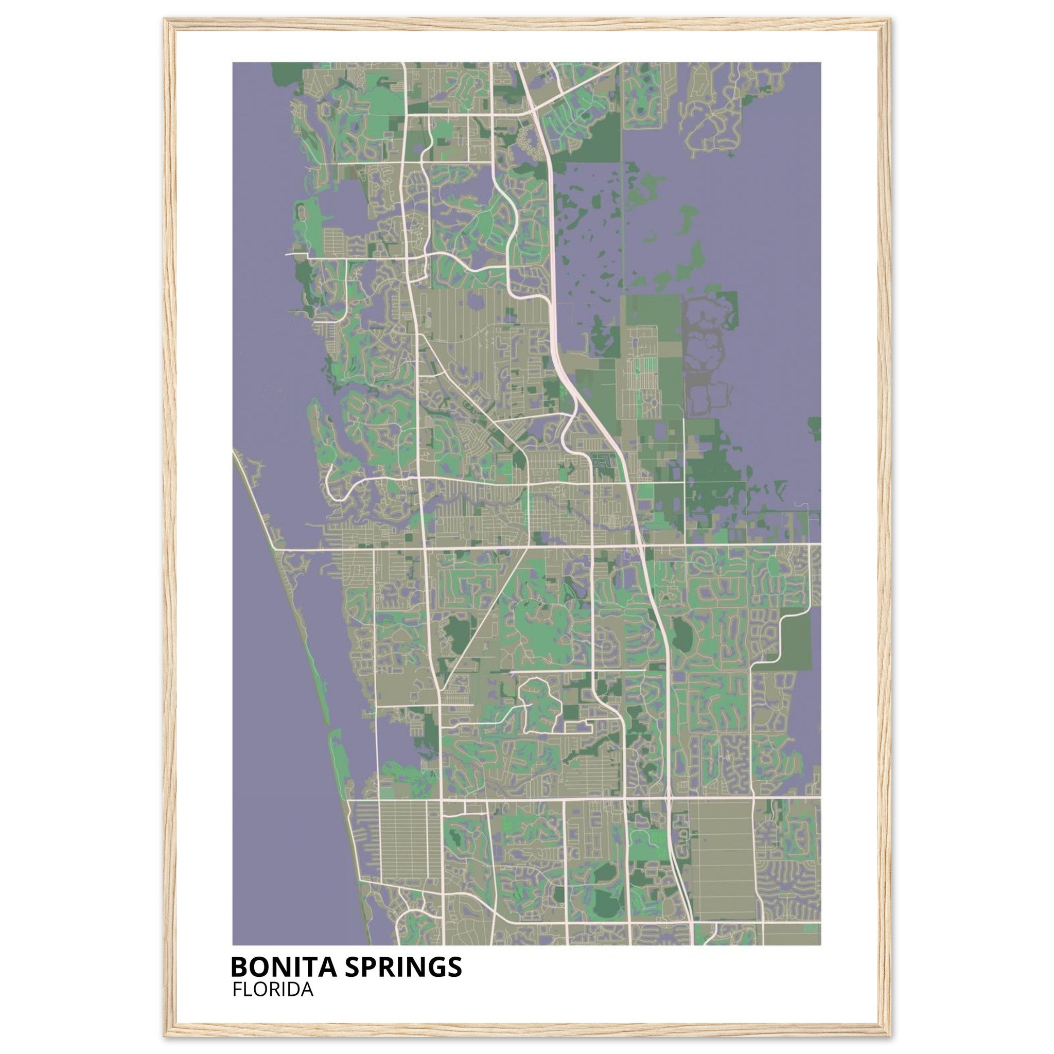 bonita springs map poster print