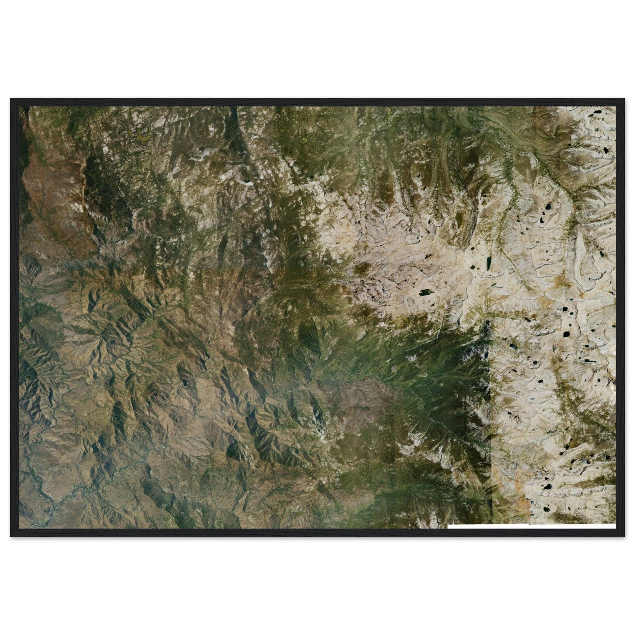 Sequoia National Park Natural Earth Print - Ink And Atlas