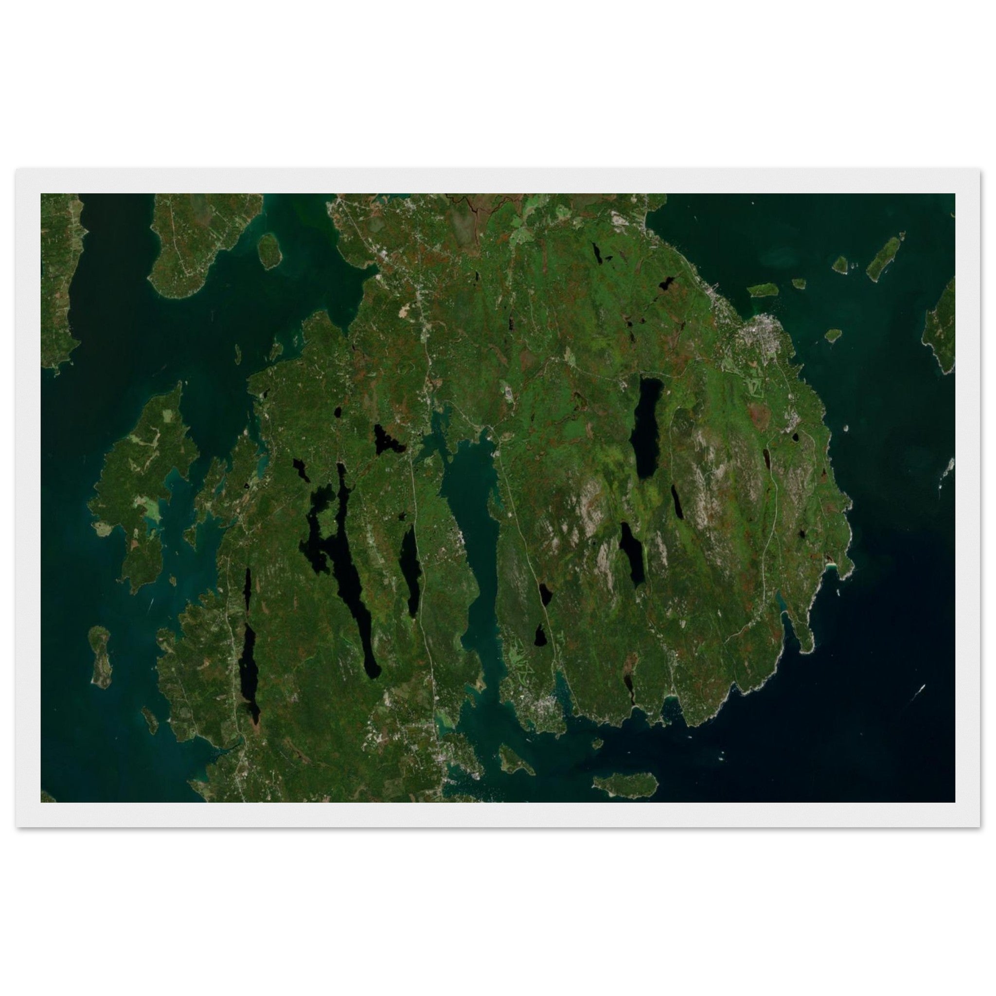 Acadia National Park Natural Earth Print - Ink And Atlas