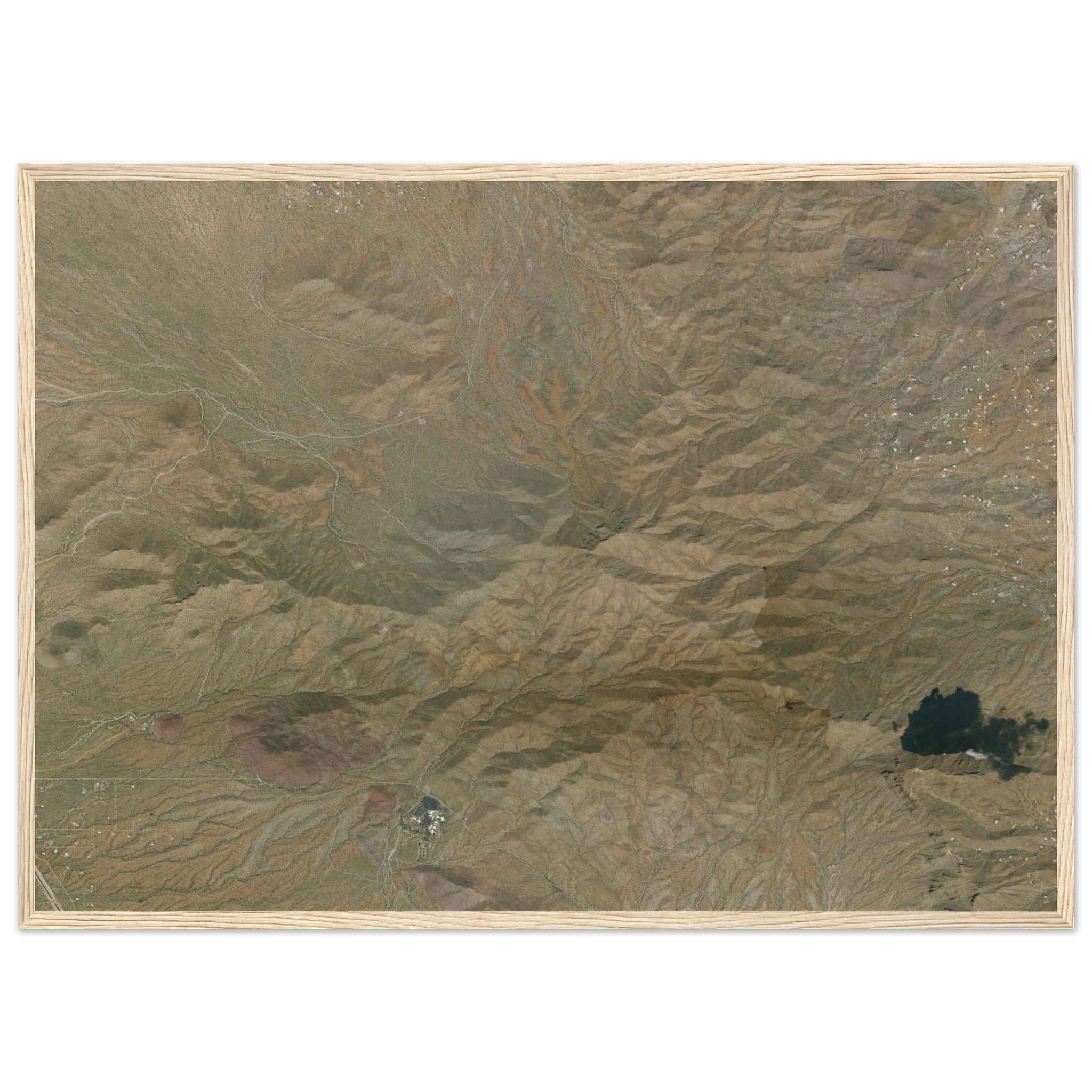 Saguaro National Park Natural Earth Print - Ink And Atlas
