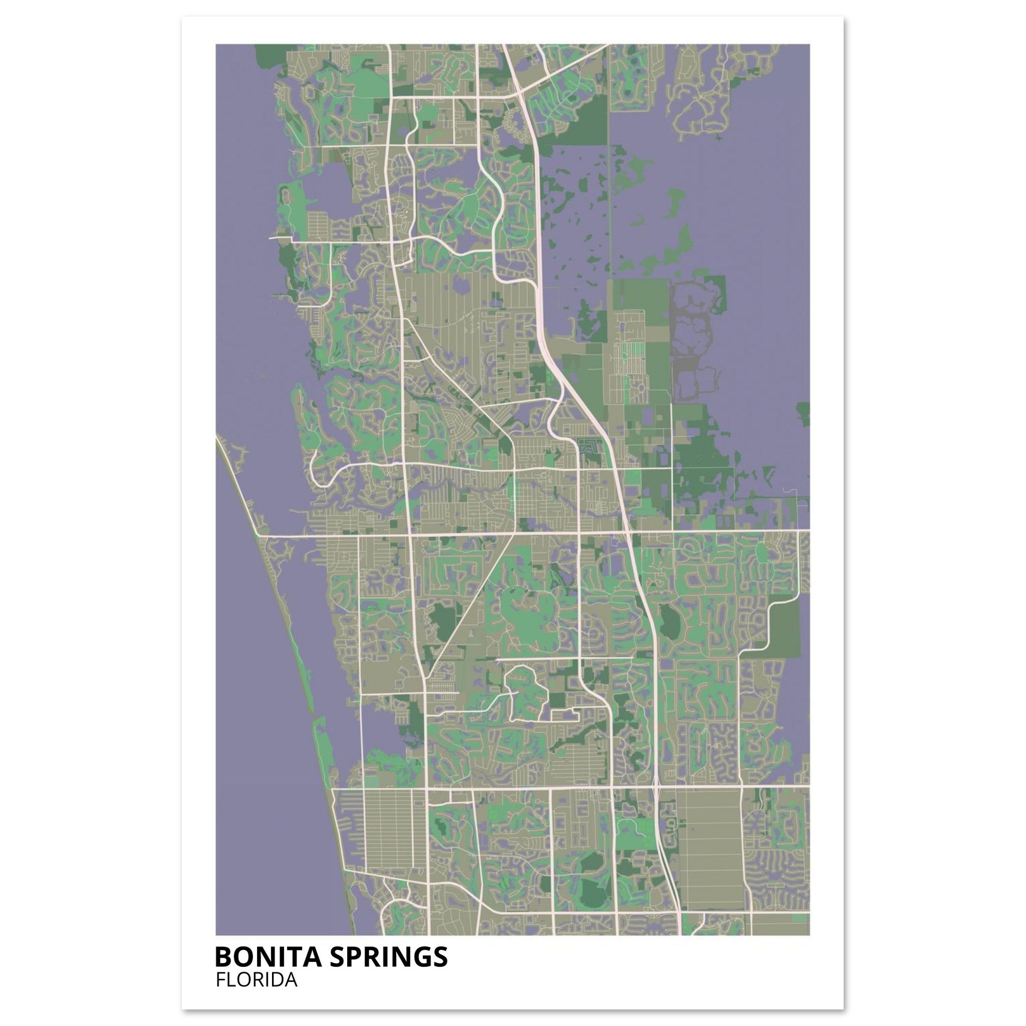 bonita springs map poster print