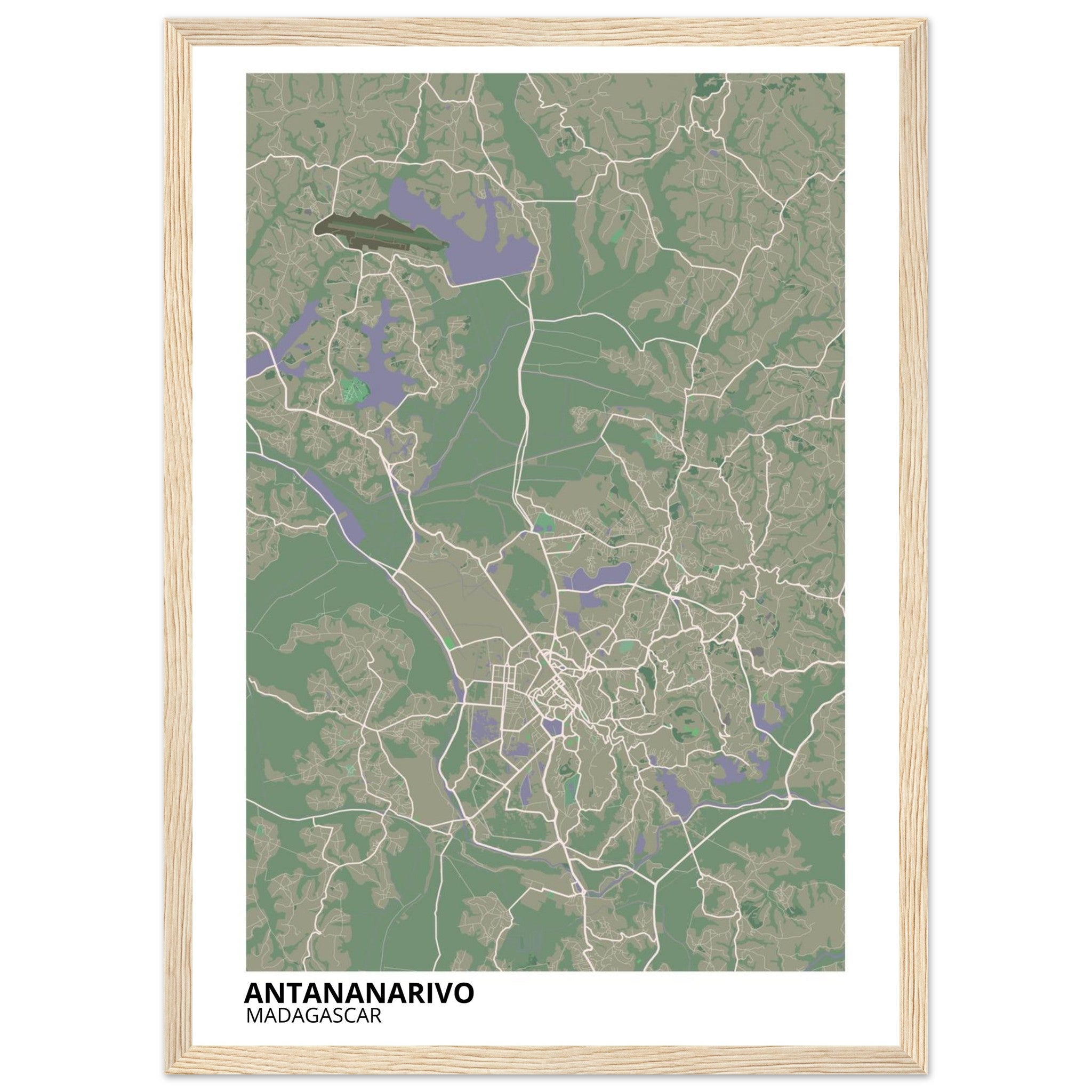 Antananarivo Madagascar City Map Poster | Custom Map Art Print - Ink And Atlas