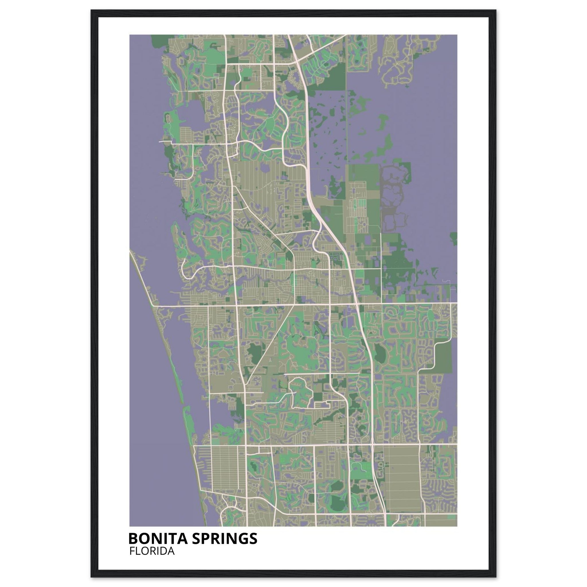bonita springs map poster print