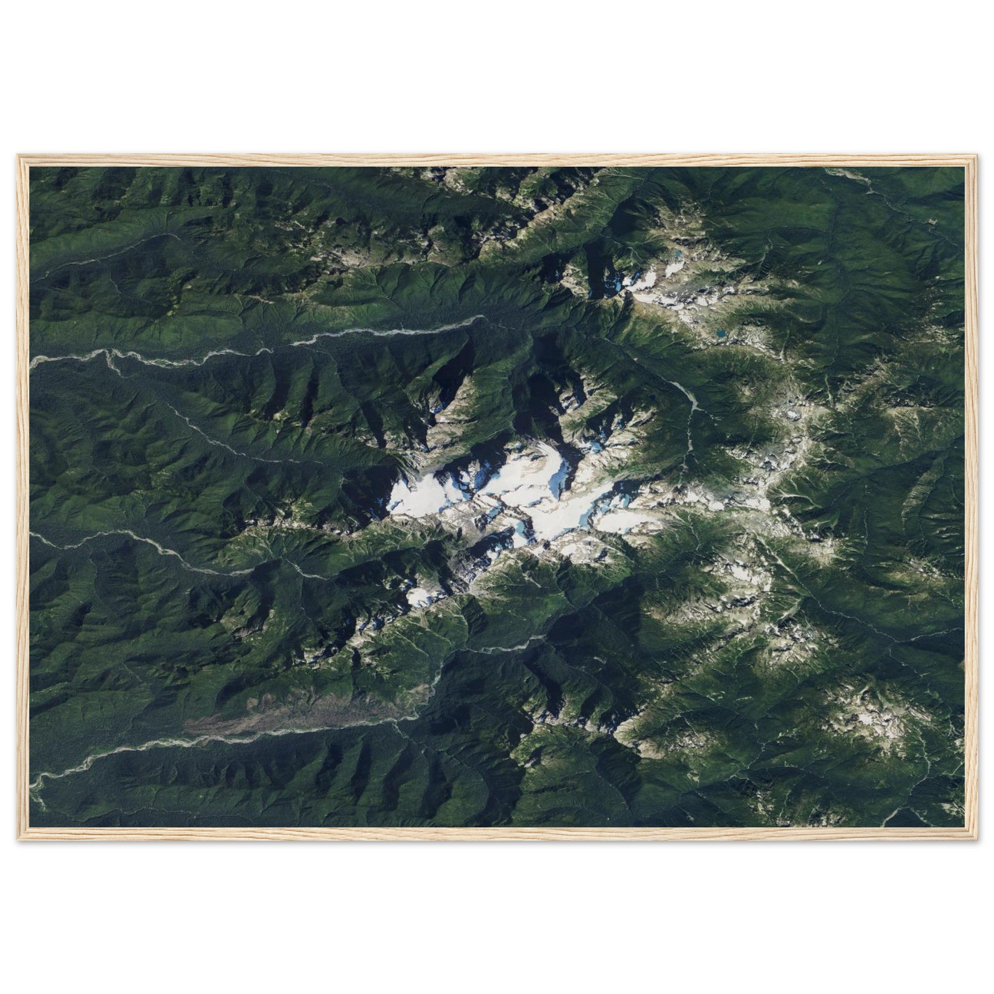 Olympic National Park Natural Earth Print - Ink And Atlas
