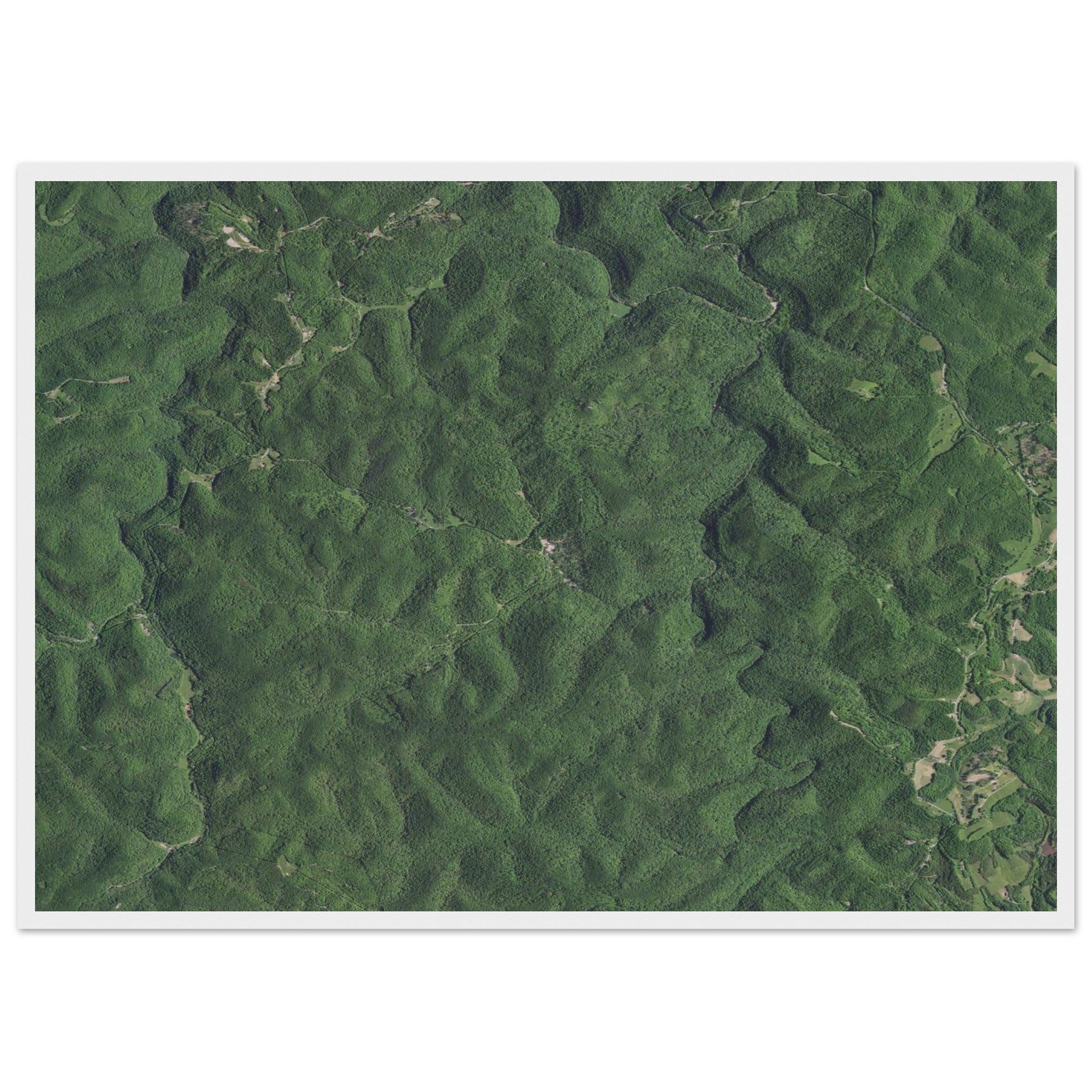 Wind Cave National Park Natural Earth Print - Ink And Atlas