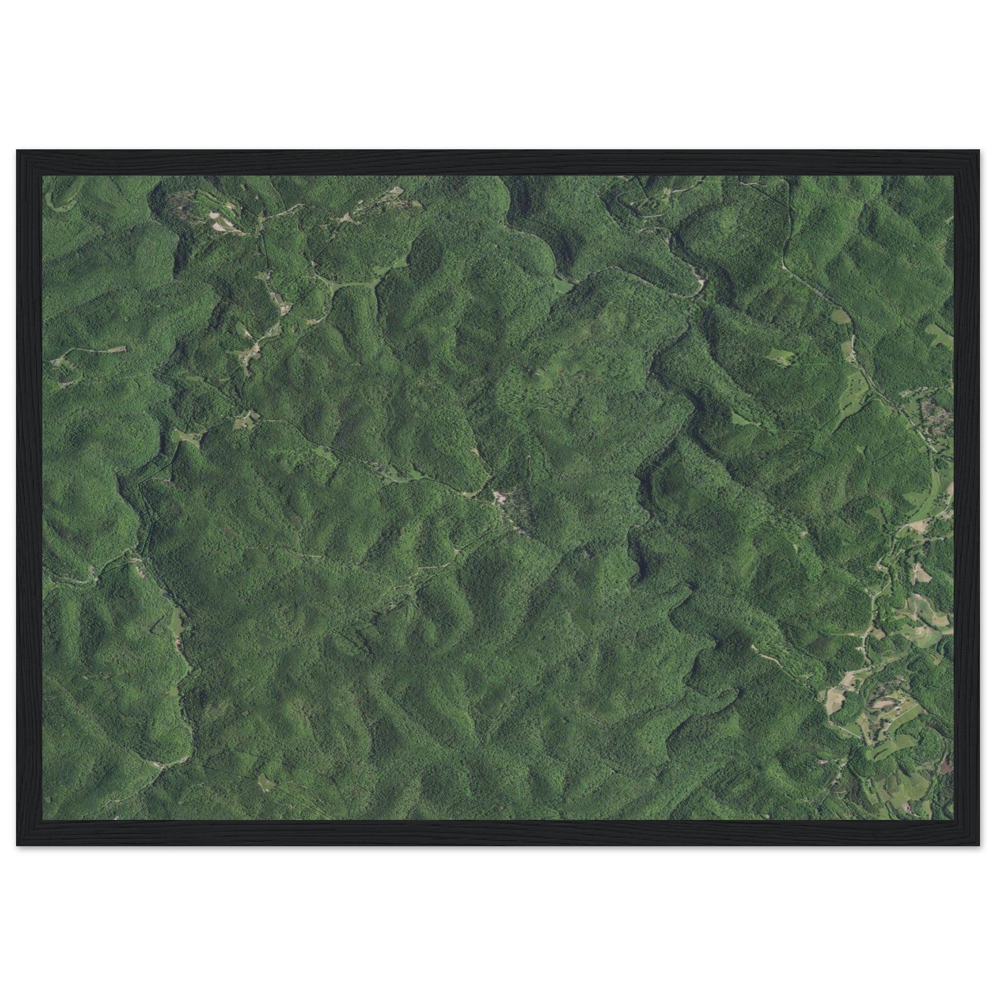 Wind Cave National Park Natural Earth Print - Ink And Atlas