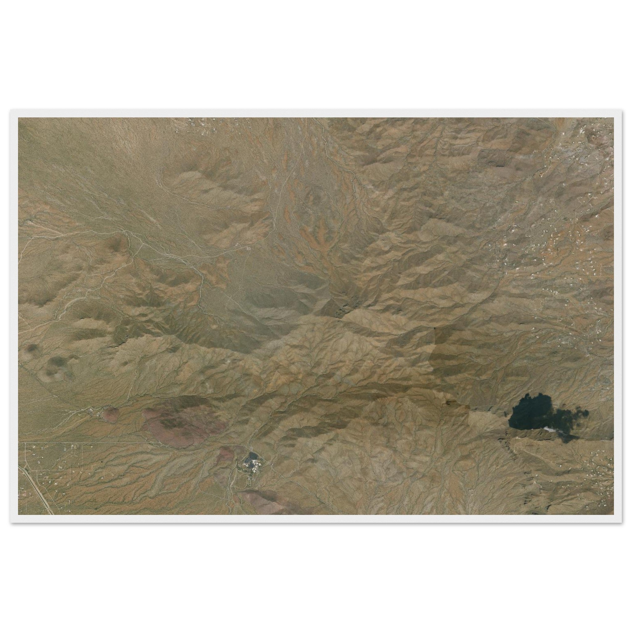 Saguaro National Park Natural Earth Print - Ink And Atlas