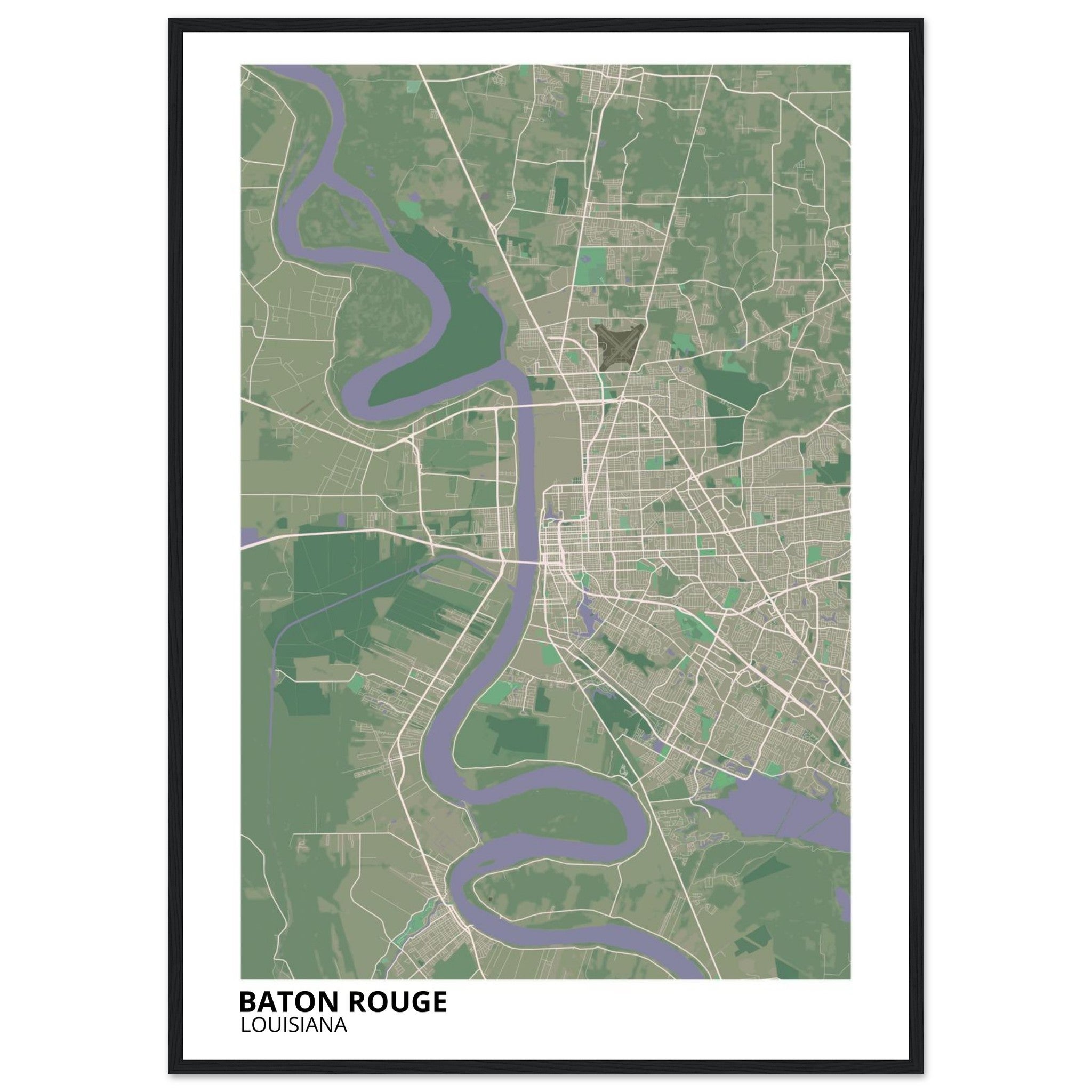 baton rouge map poster print