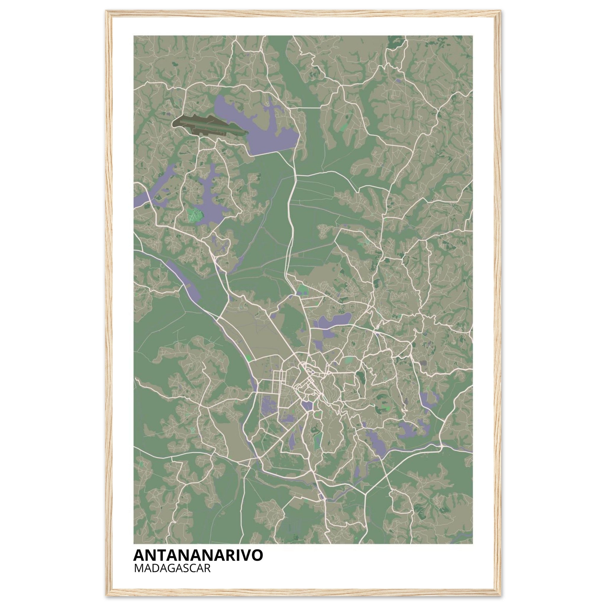 Antananarivo Madagascar City Map Poster | Custom Map Art Print - Ink And Atlas