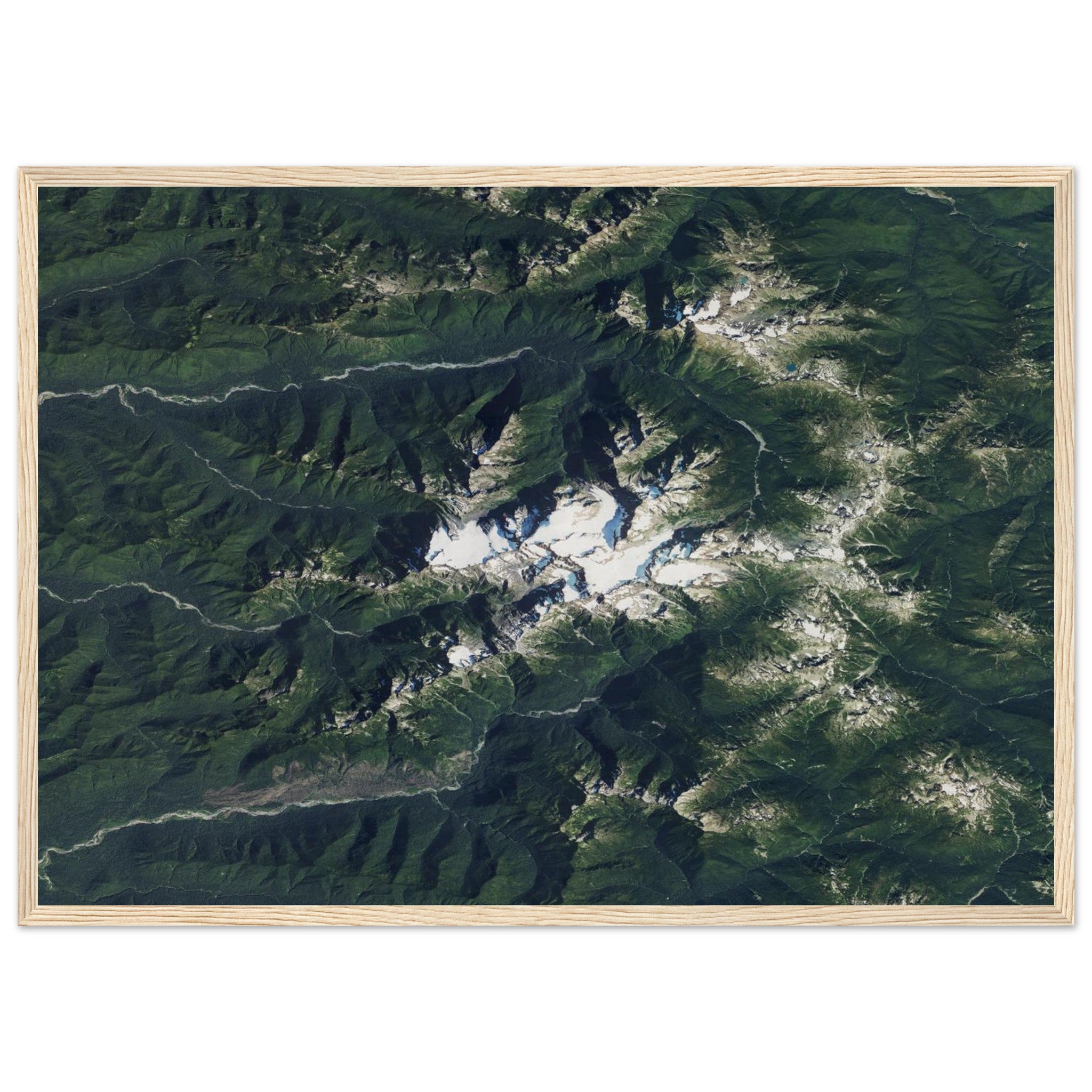 Olympic National Park Natural Earth Print - Ink And Atlas