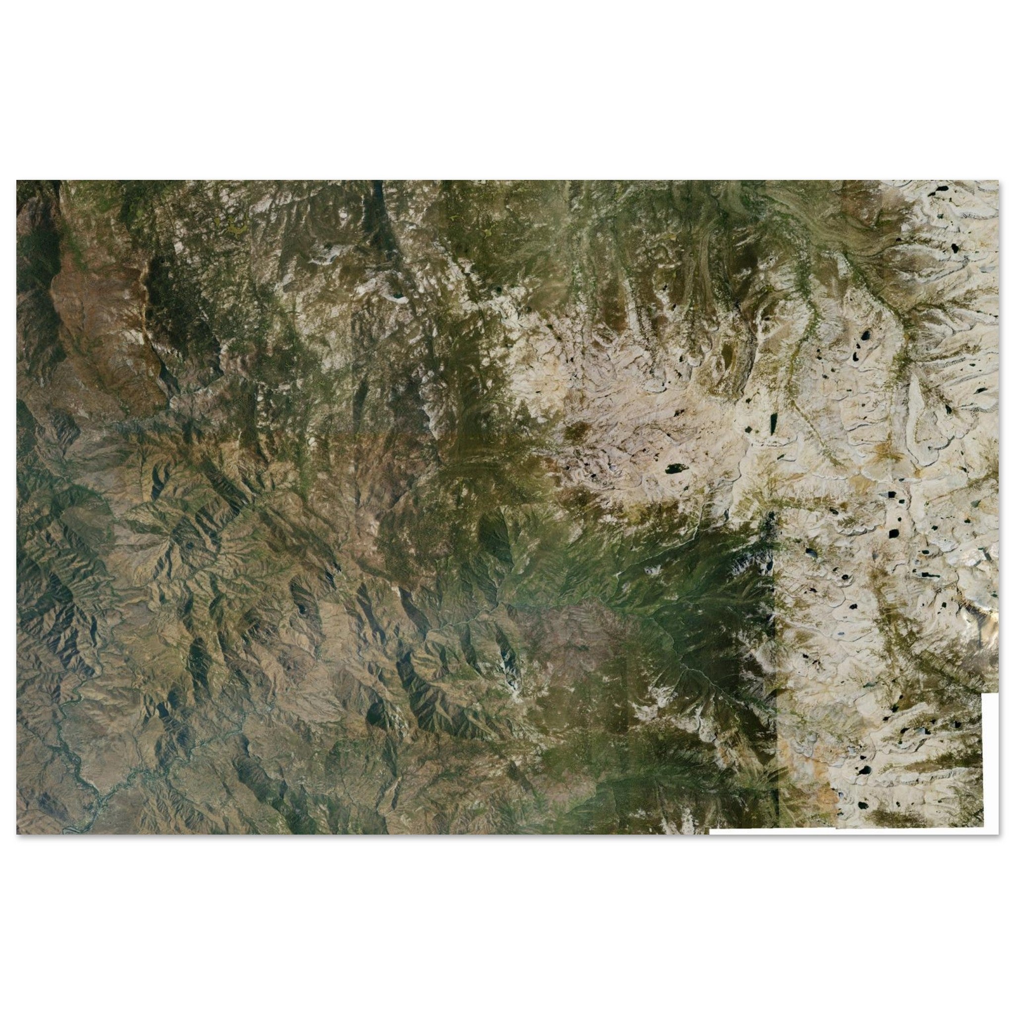 Sequoia National Park Natural Earth Print - Ink And Atlas