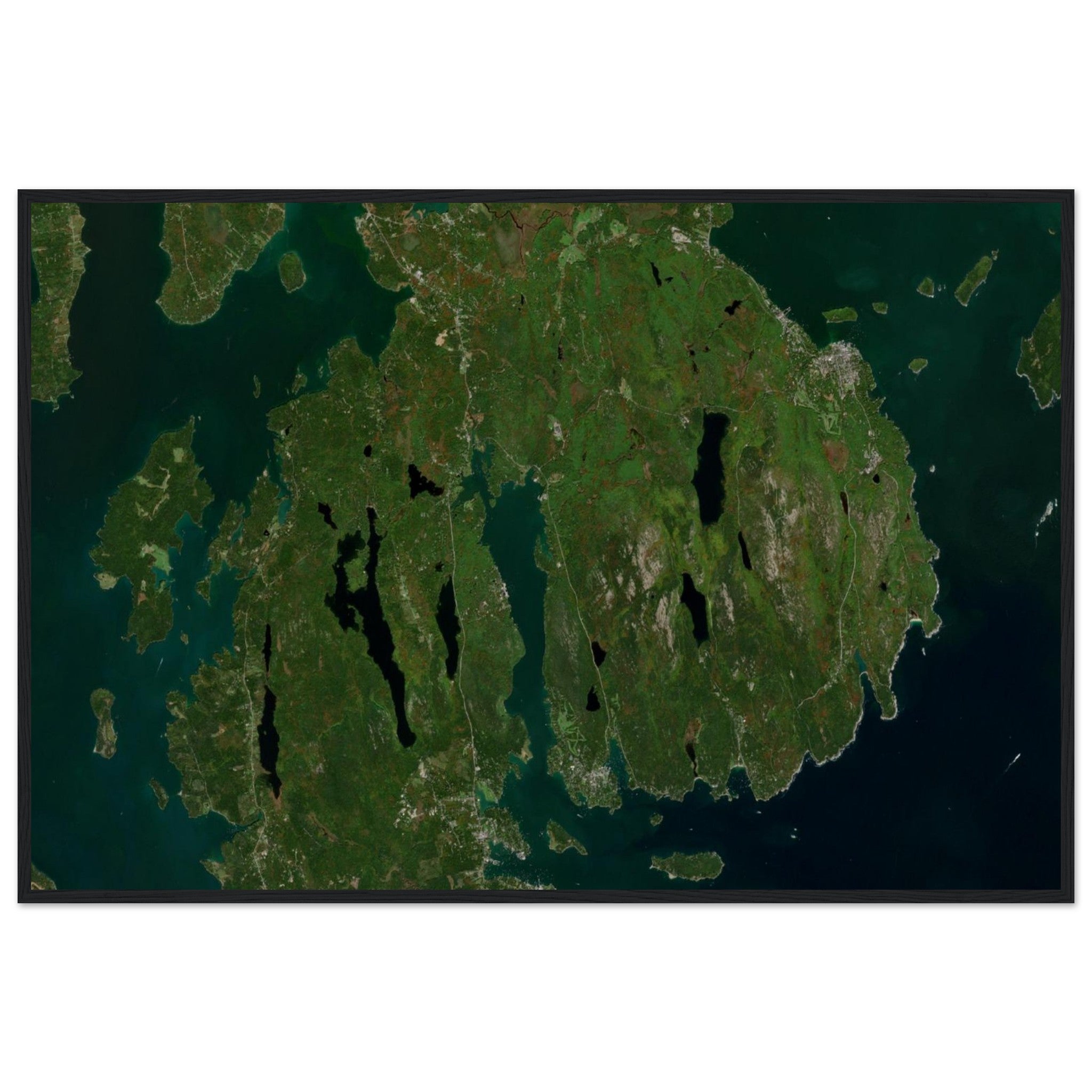 Acadia National Park Natural Earth Print - Ink And Atlas