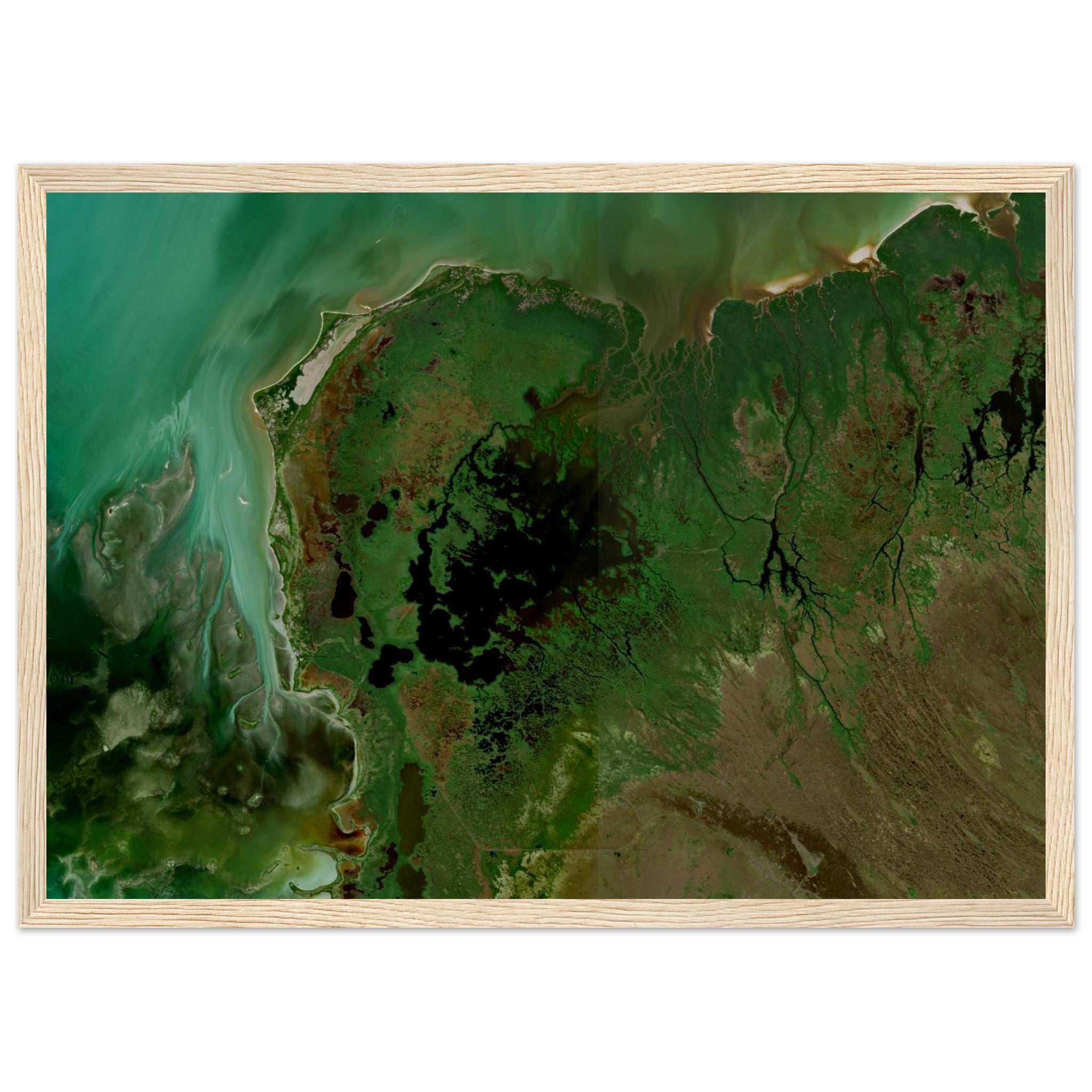 Everglades National Park Natural Earth Print - Ink And Atlas