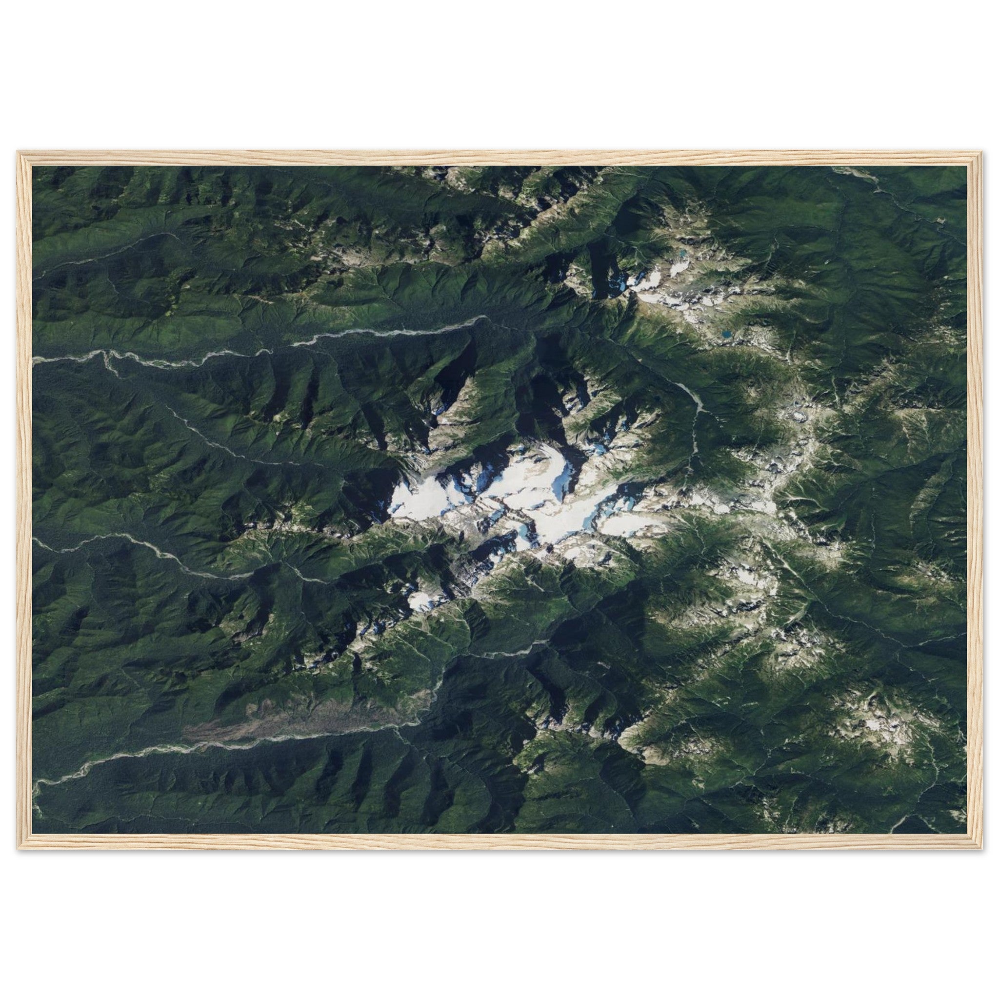 Olympic National Park Natural Earth Print - Ink And Atlas