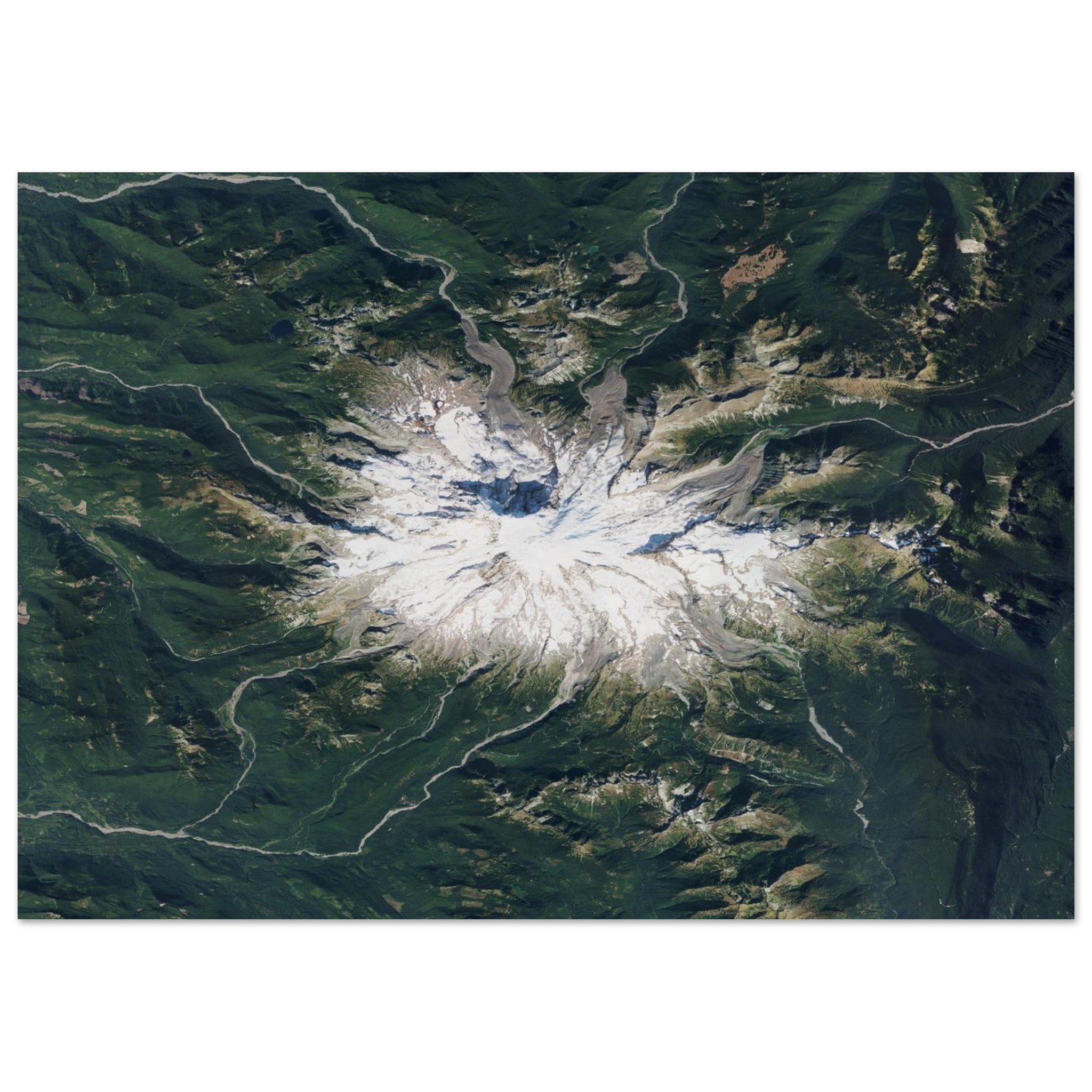 Mount Rainier National Park Natural Earth Print - Ink And Atlas