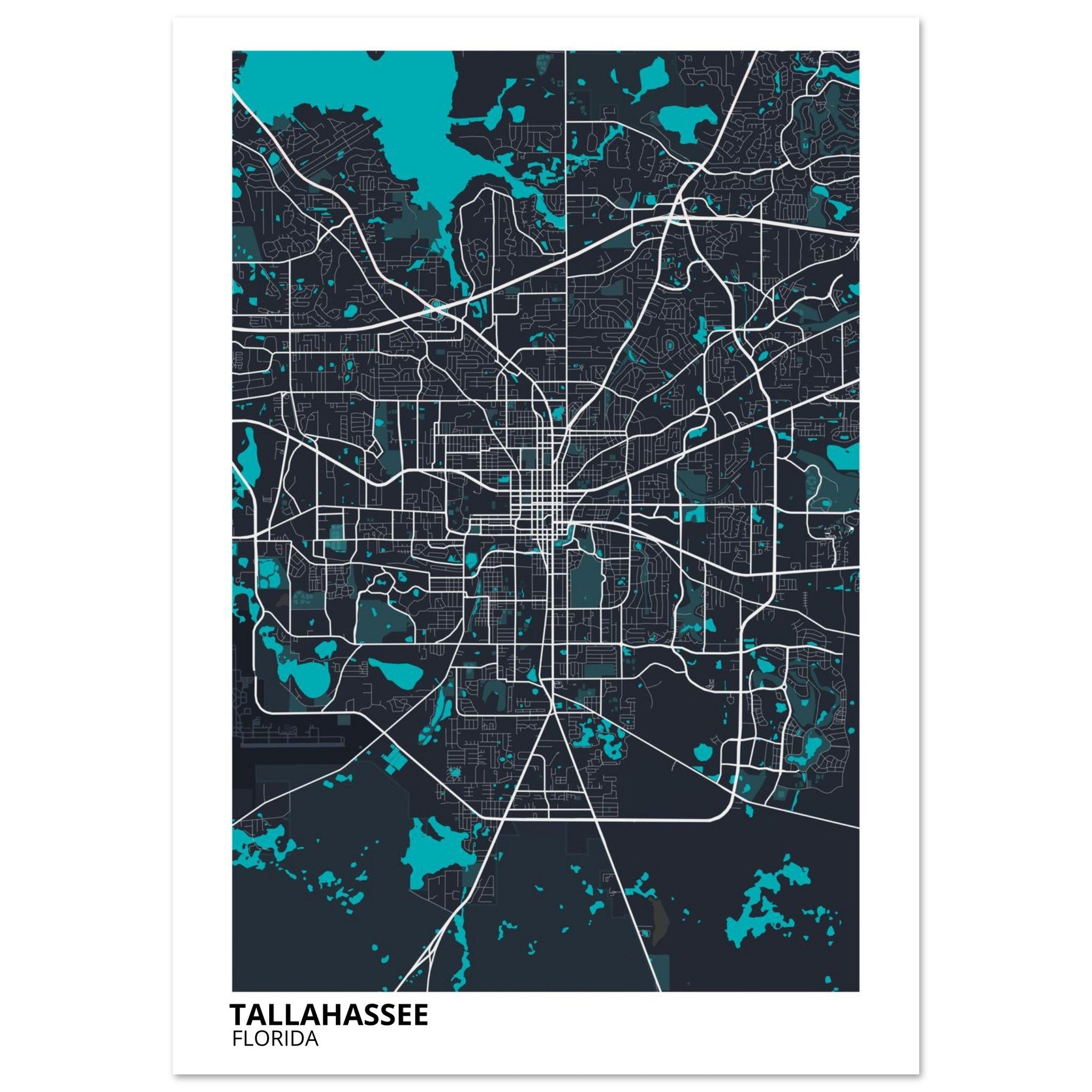 tallahassee map poster print