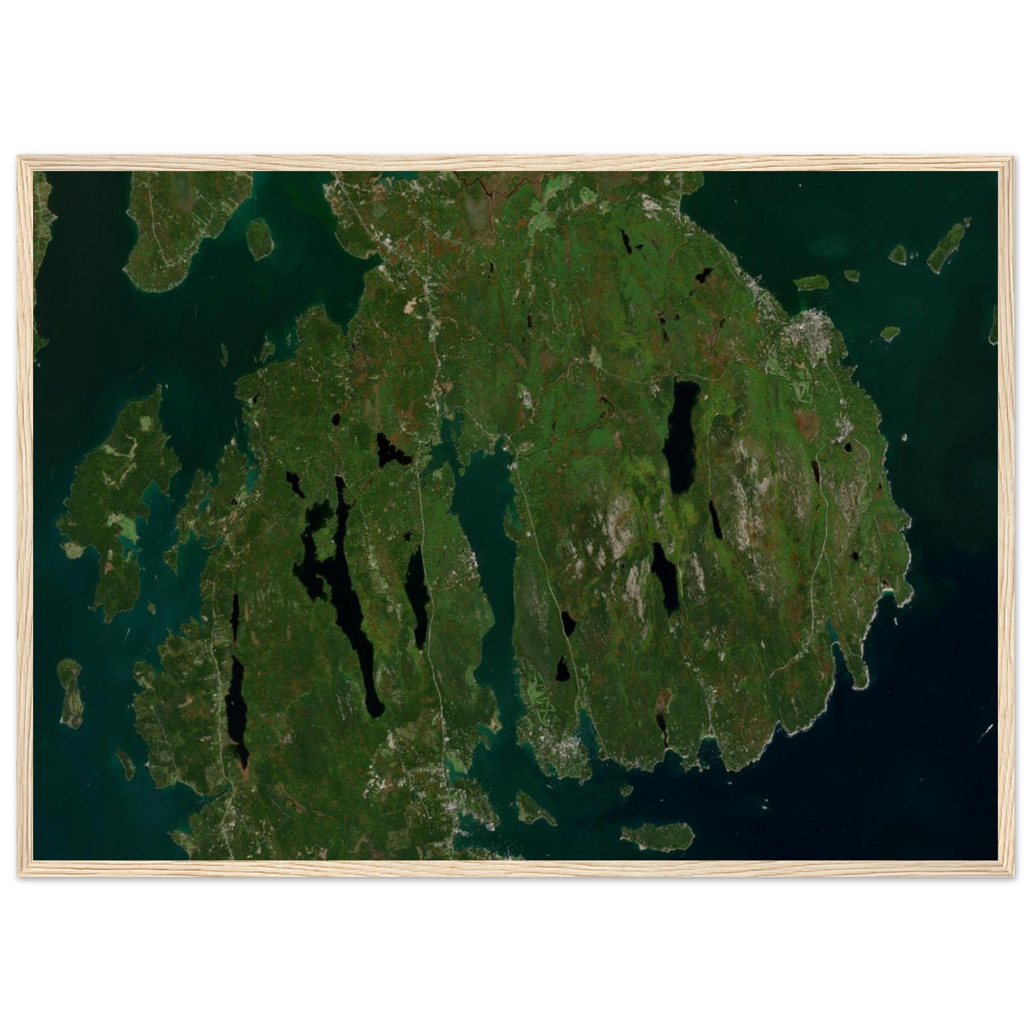 Acadia National Park Natural Earth Print - Ink And Atlas
