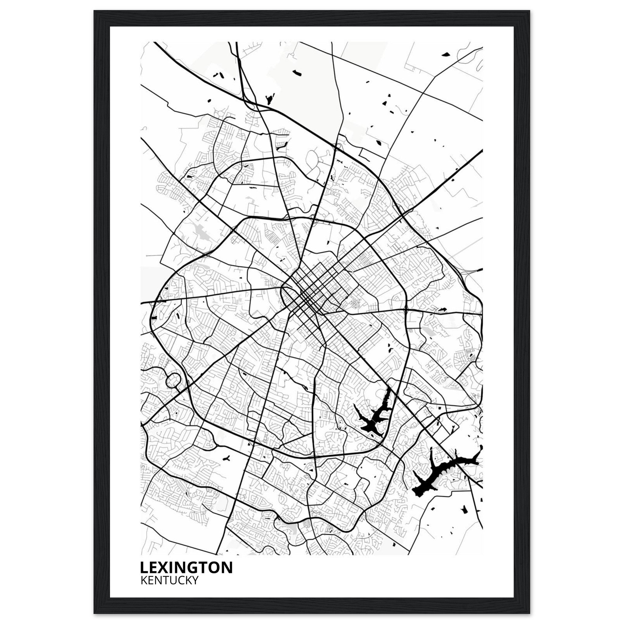 Lexington Kentucky City Map Poster | Custom Map Art Print - Ink And Atlas