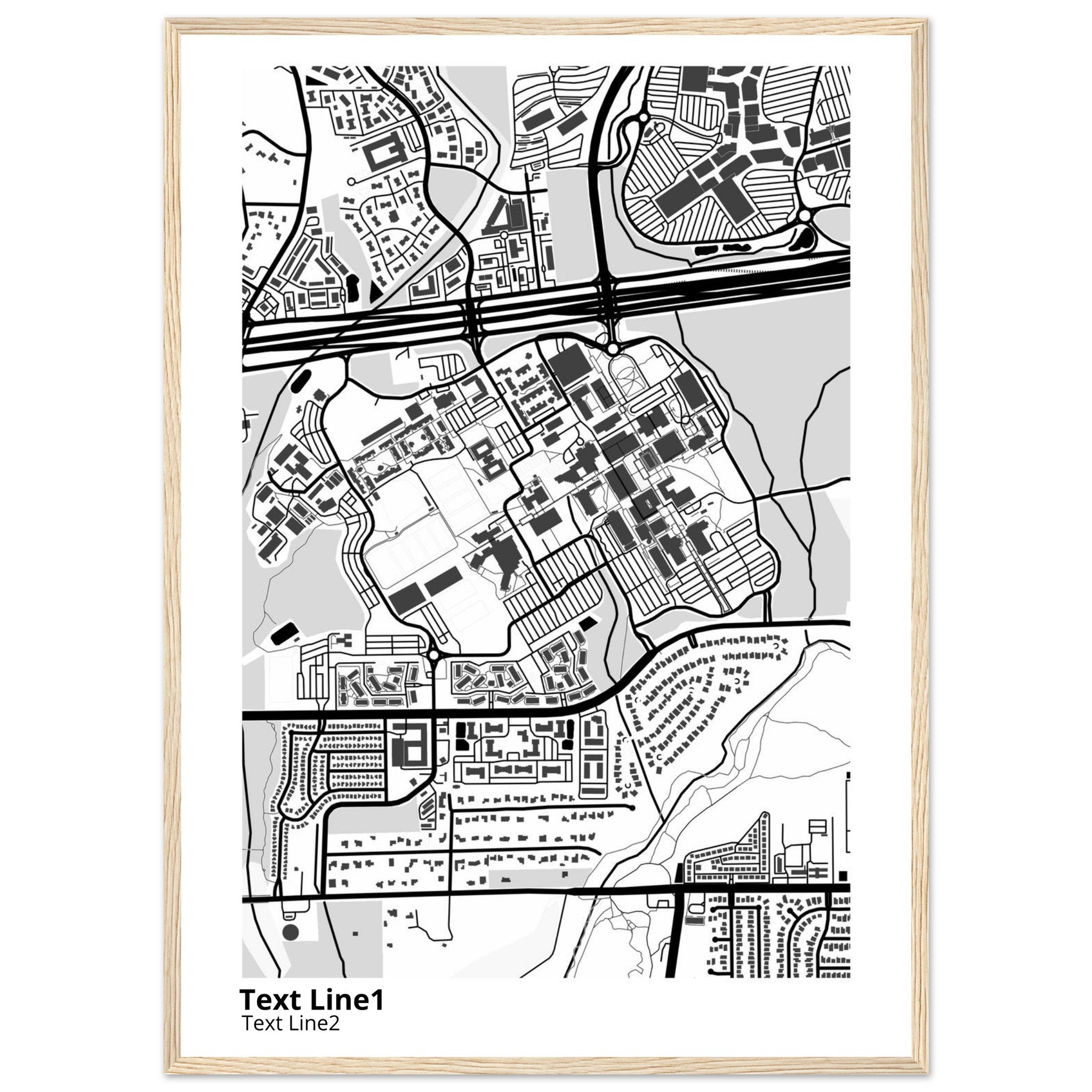 The University of Texas San Antonio Campus Map Poster | Alumni Gift - Ink And Atlas