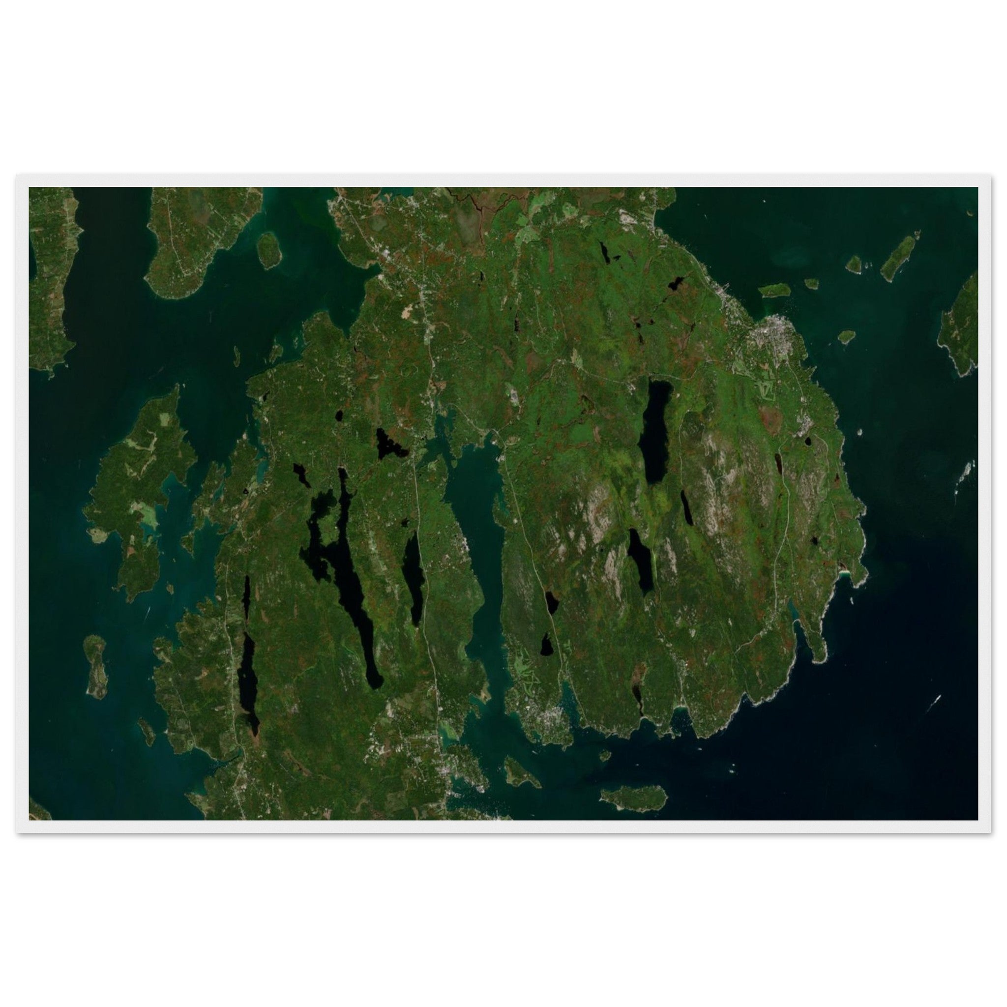 Acadia National Park Natural Earth Print - Ink And Atlas