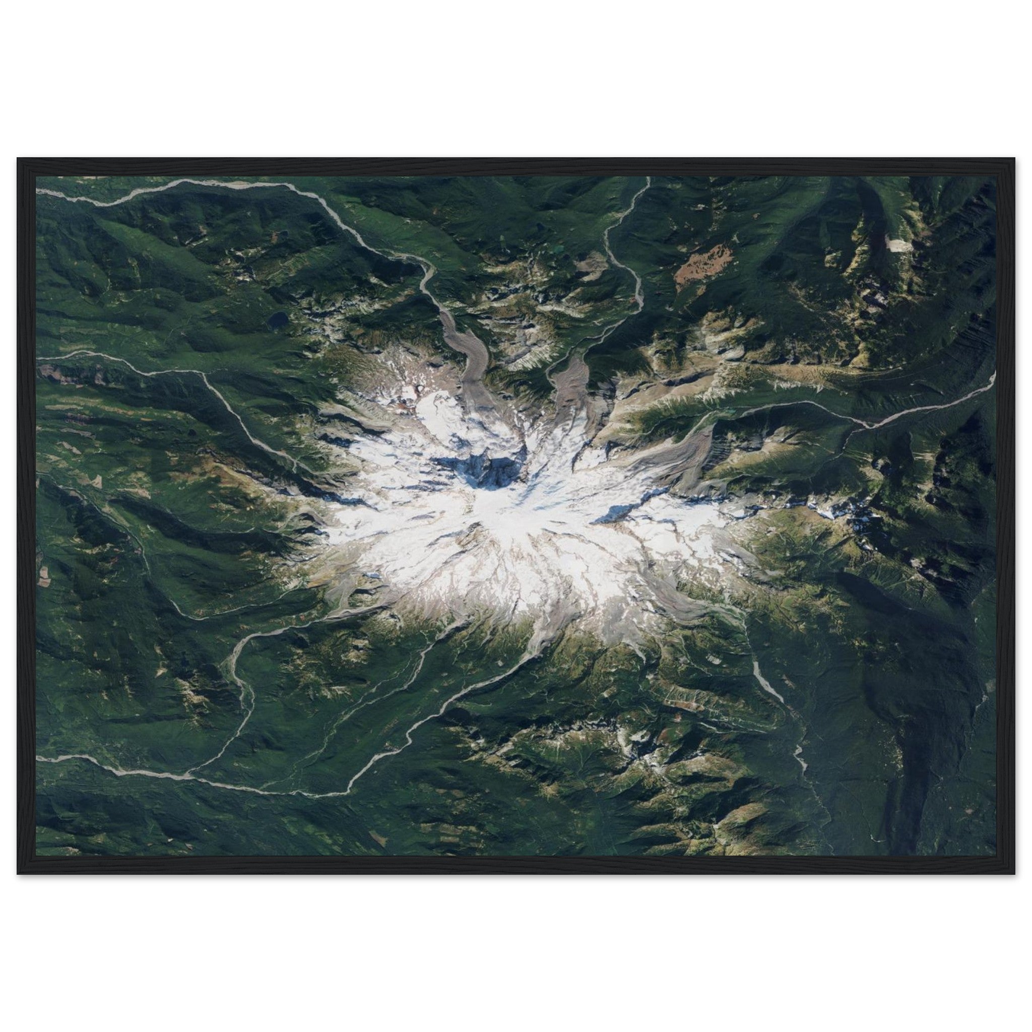 Mount Rainier National Park Natural Earth Print - Ink And Atlas