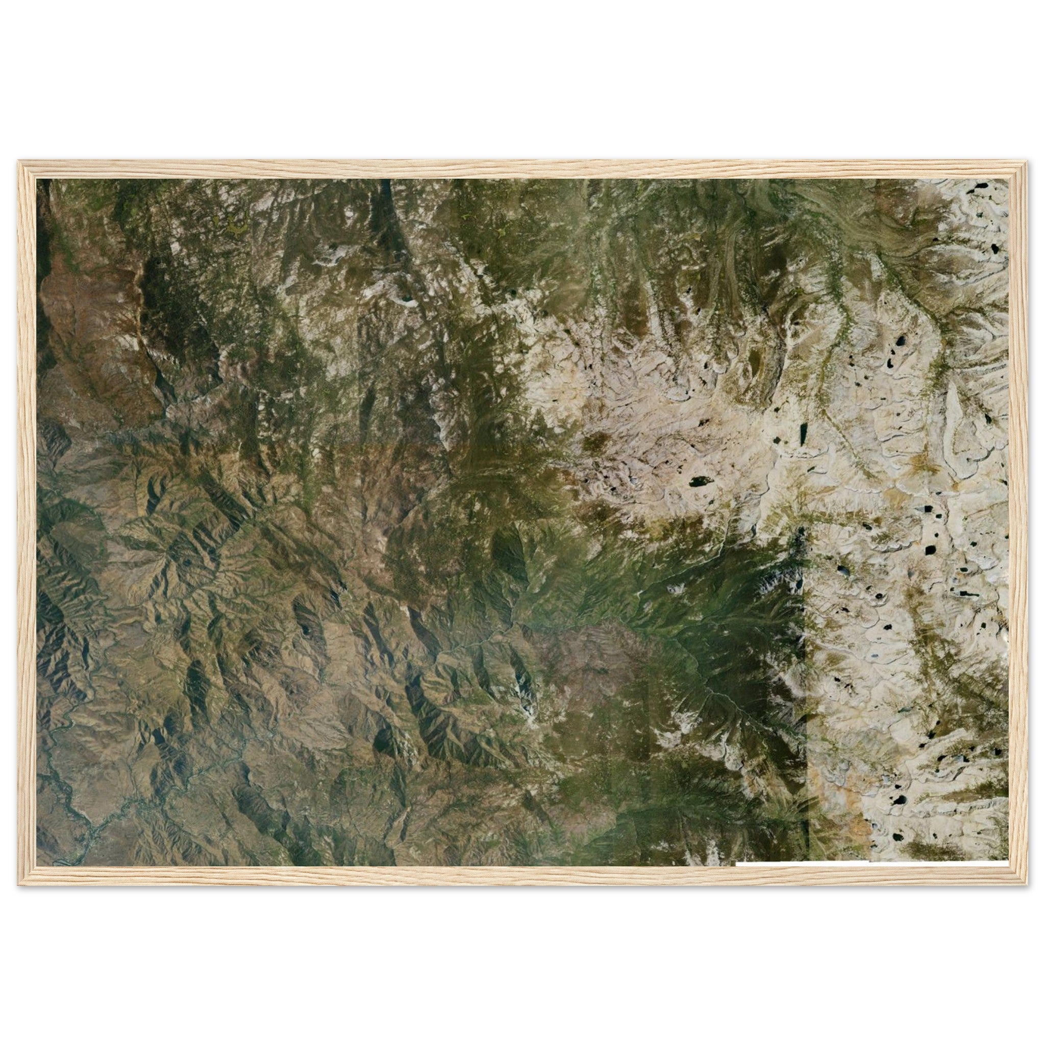 Sequoia National Park Natural Earth Print - Ink And Atlas