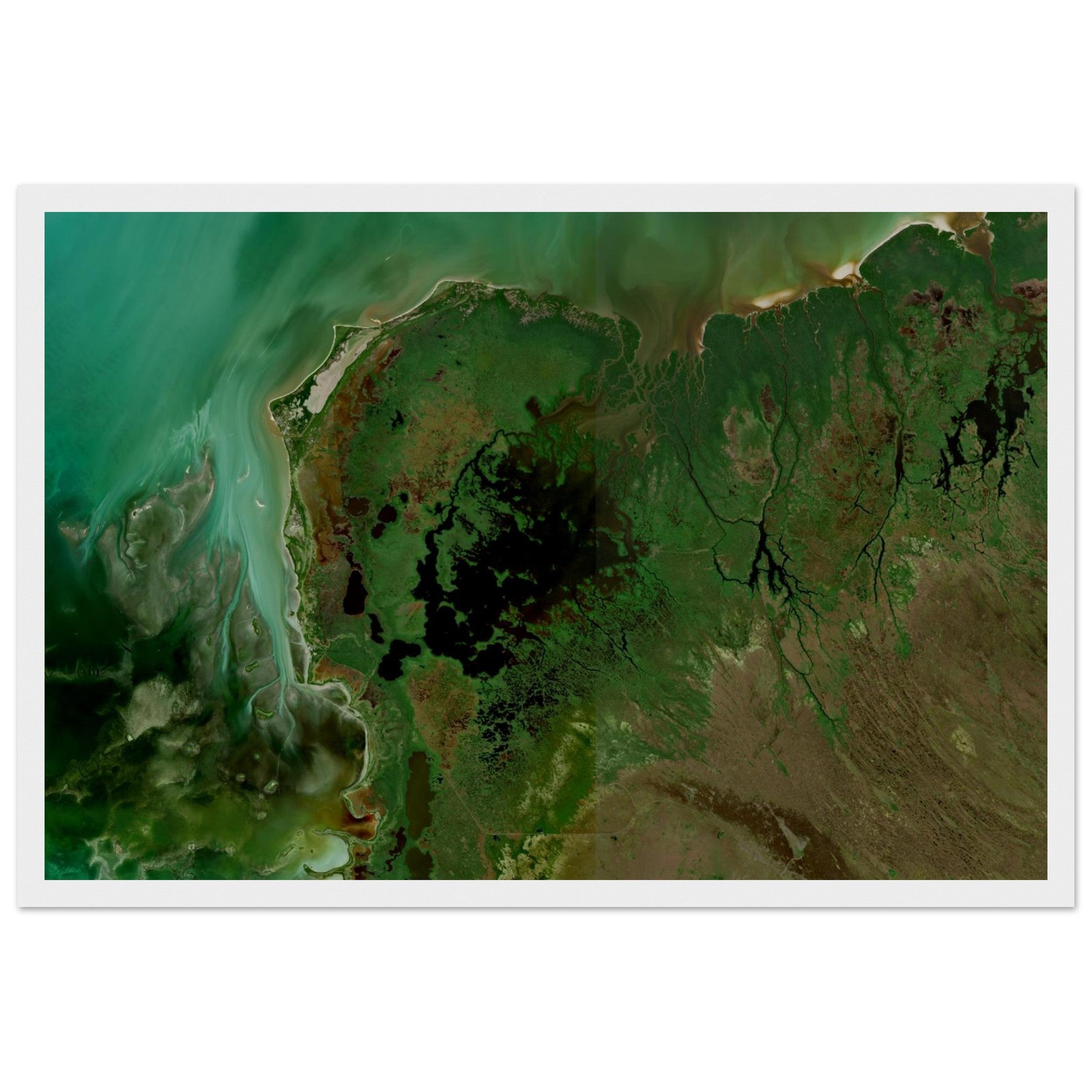 Everglades National Park Natural Earth Print - Ink And Atlas