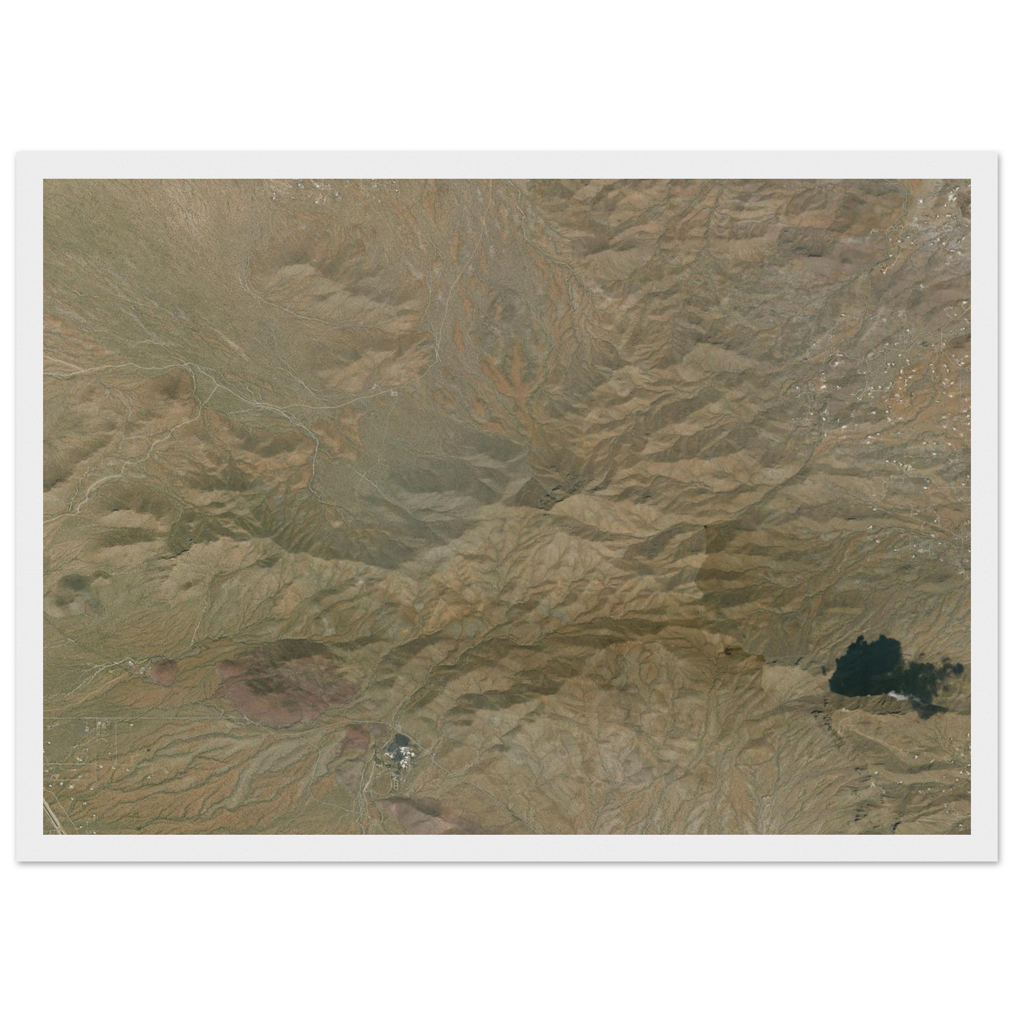 Saguaro National Park Natural Earth Print - Ink And Atlas