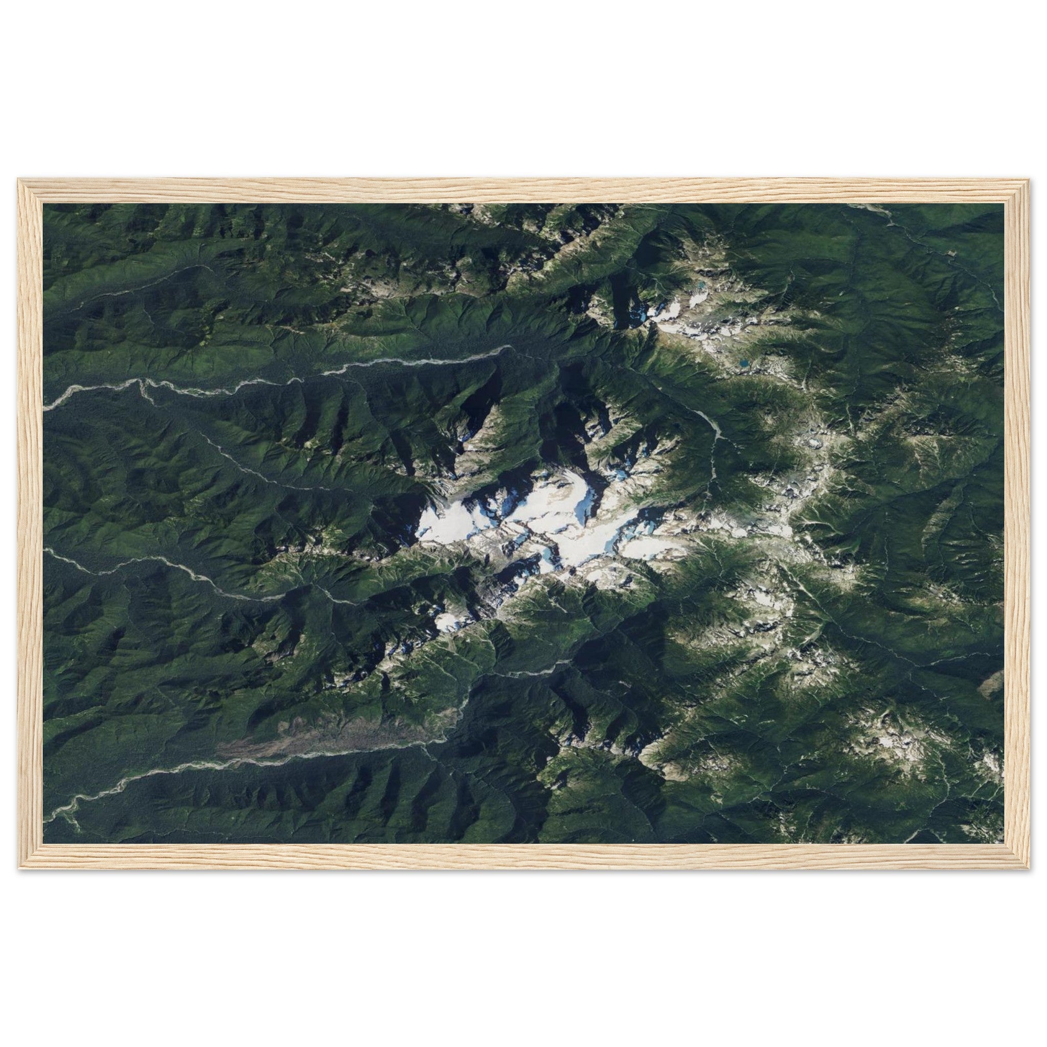 Olympic National Park Natural Earth Print - Ink And Atlas