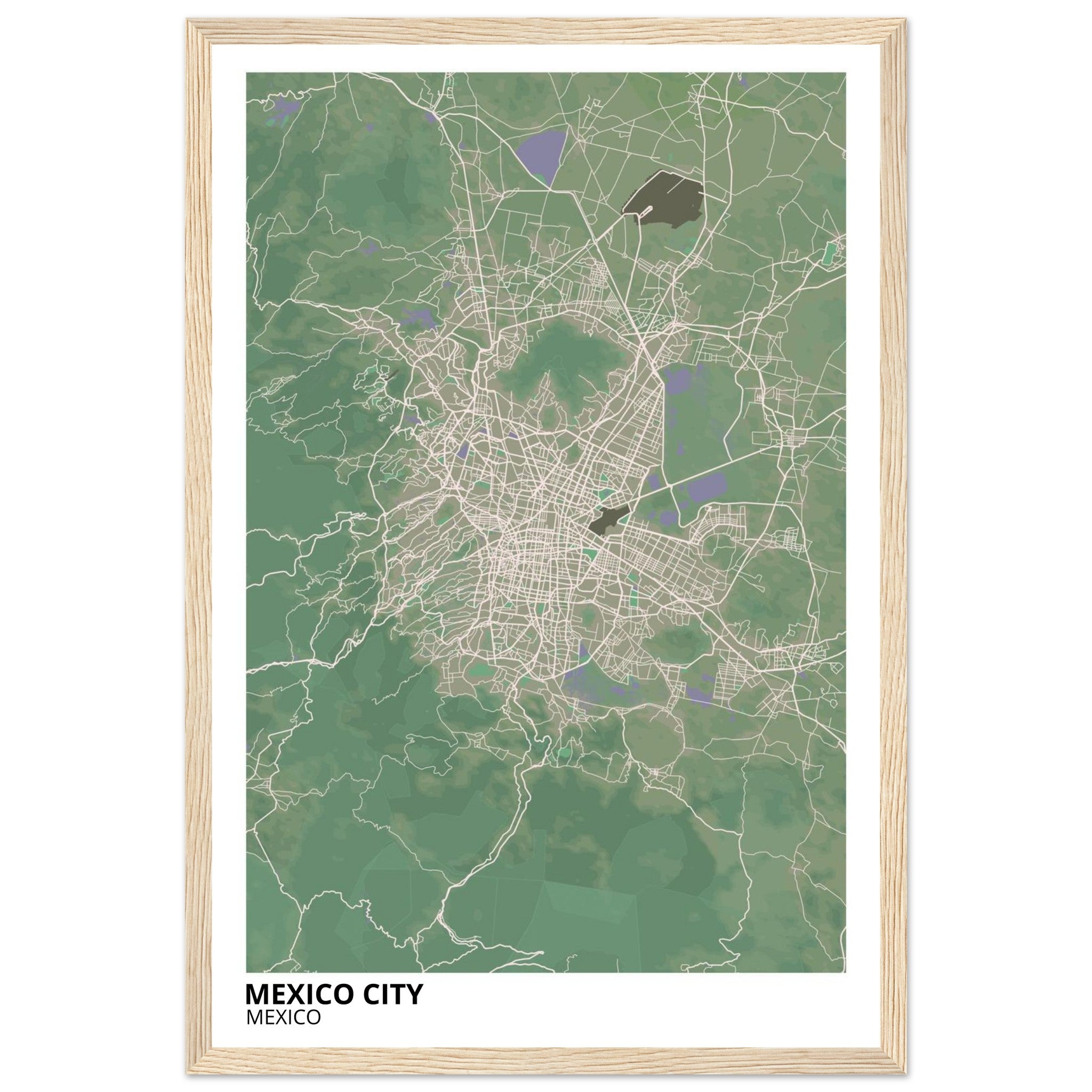 Mexico City Mexico City Map Poster | Custom Map Art Print - Ink And Atlas