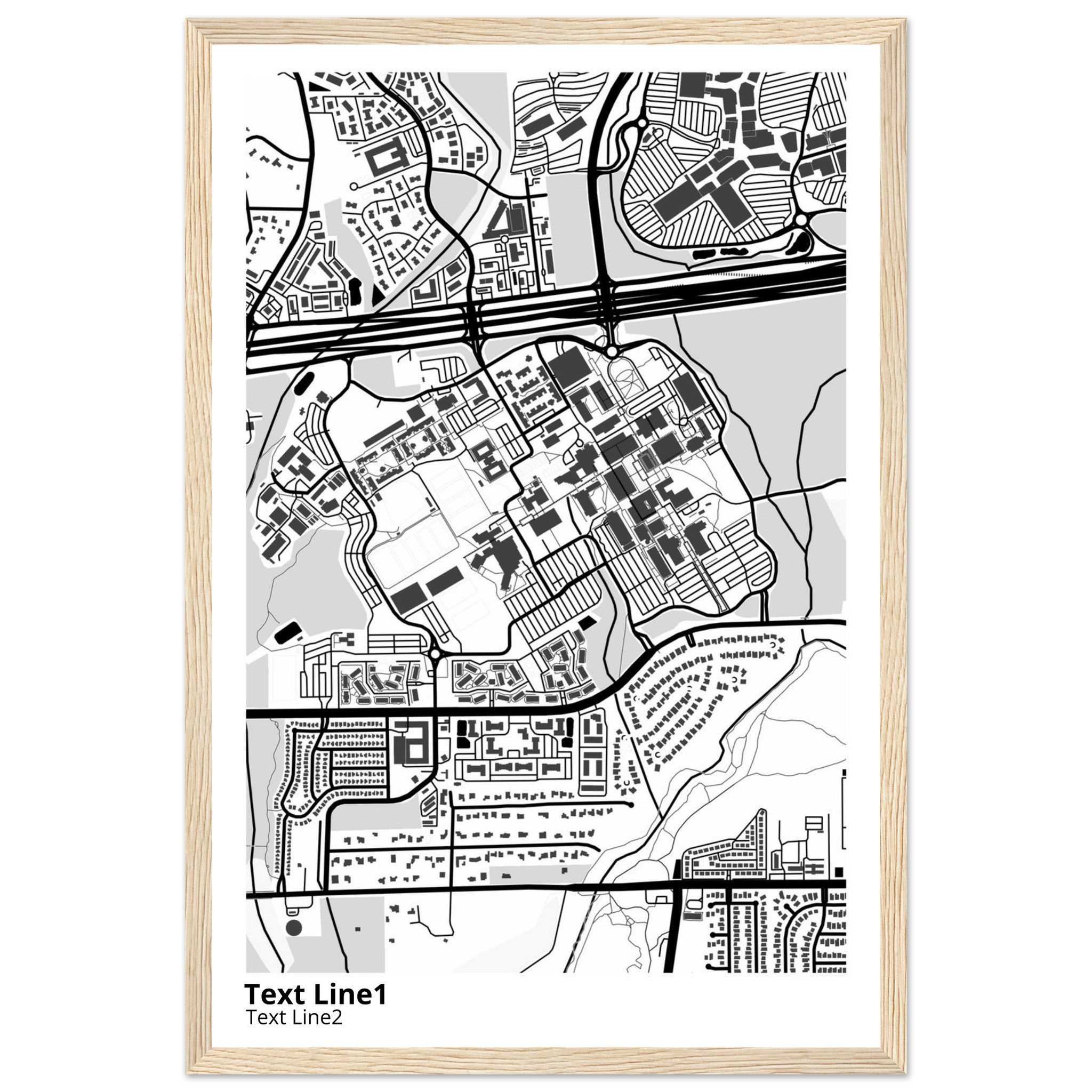 The University of Texas San Antonio Campus Map Poster | Alumni Gift - Ink And Atlas