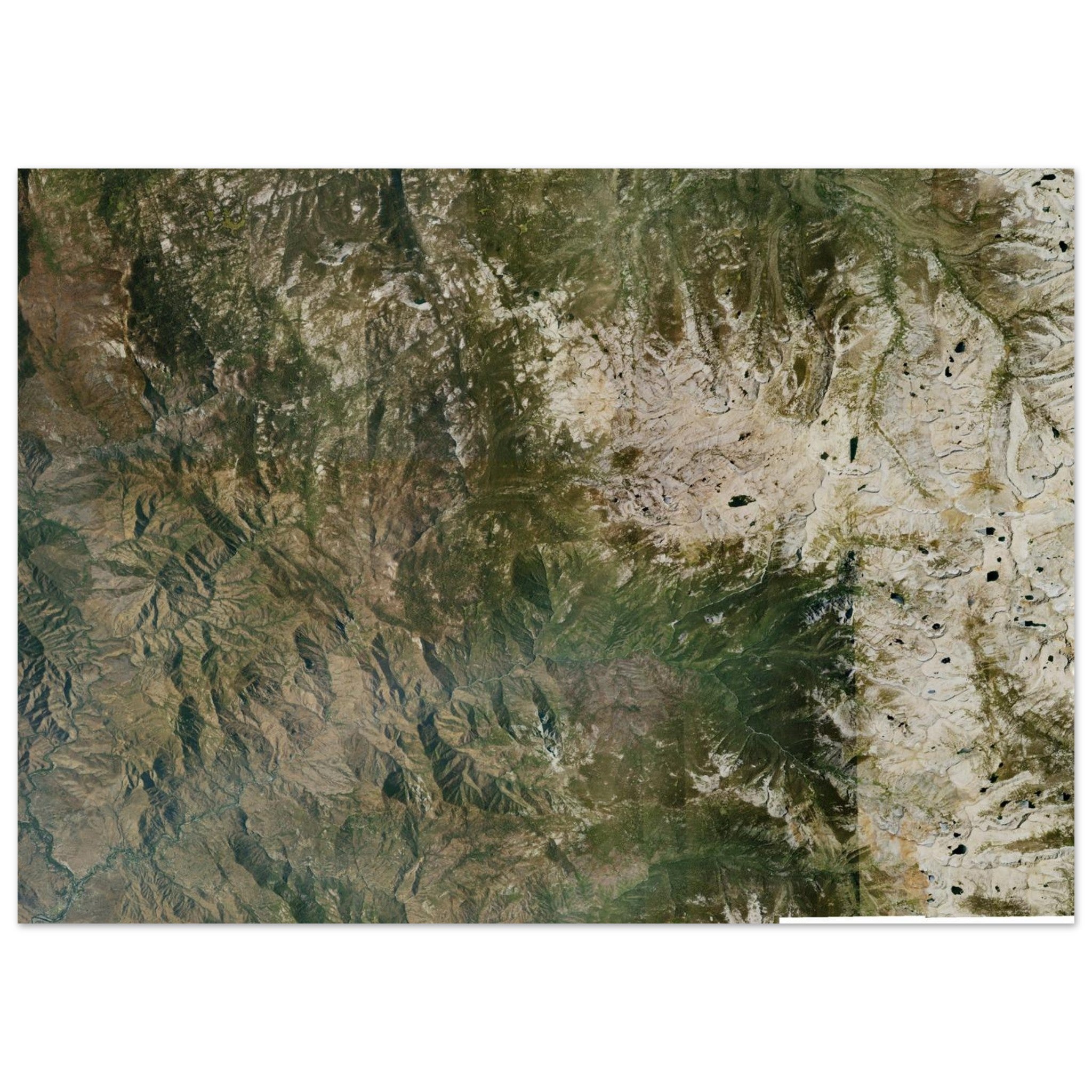 Sequoia National Park Natural Earth Print - Ink And Atlas