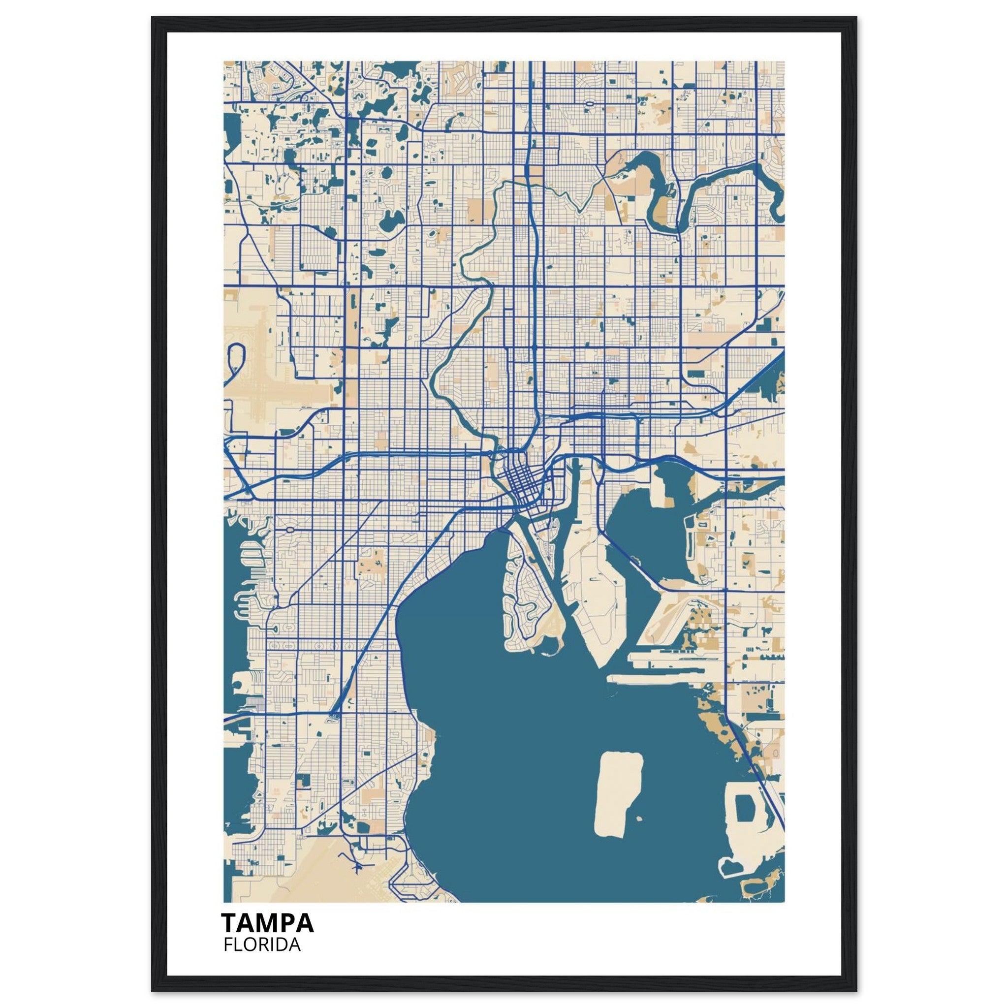 tampa map poster print