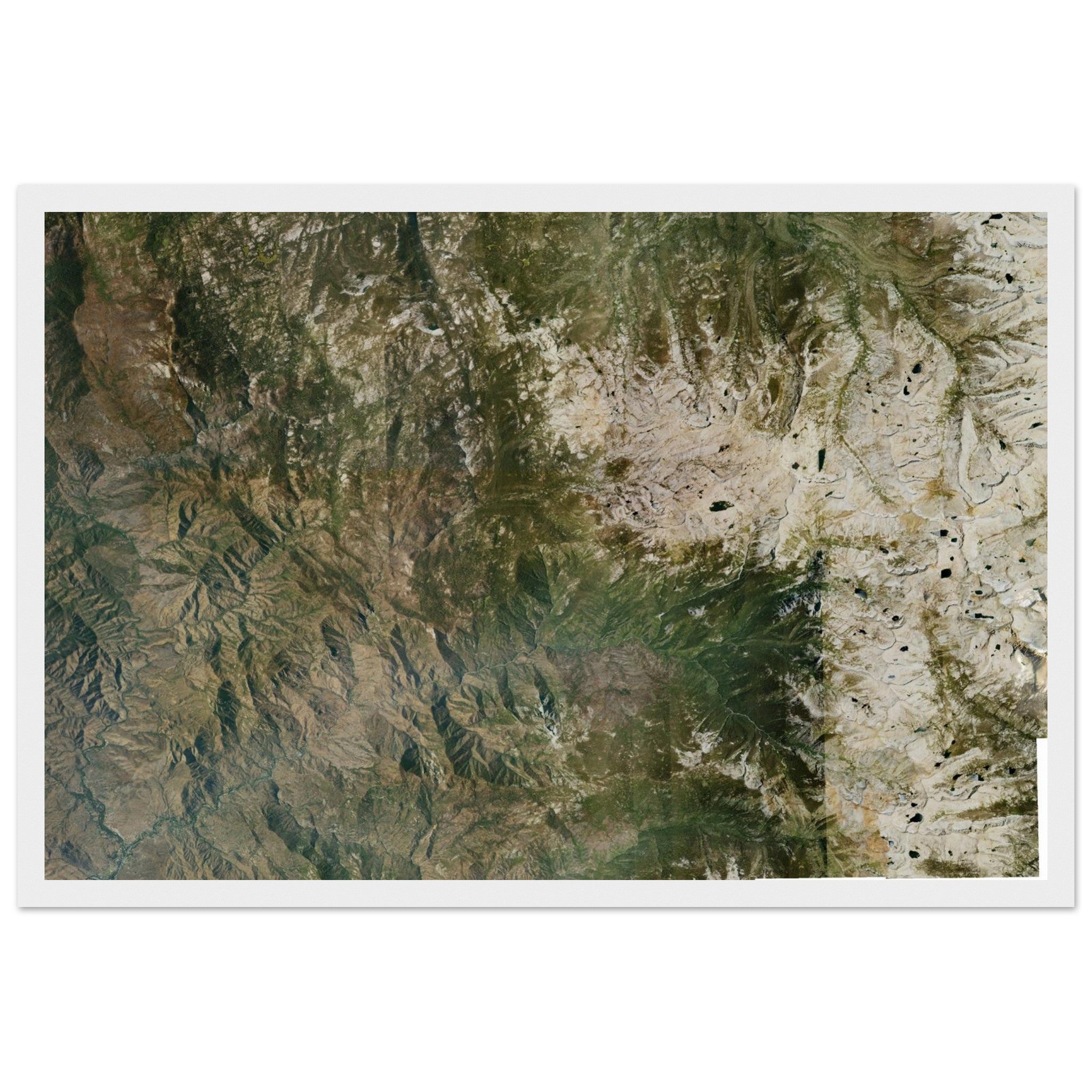 Sequoia National Park Natural Earth Print - Ink And Atlas