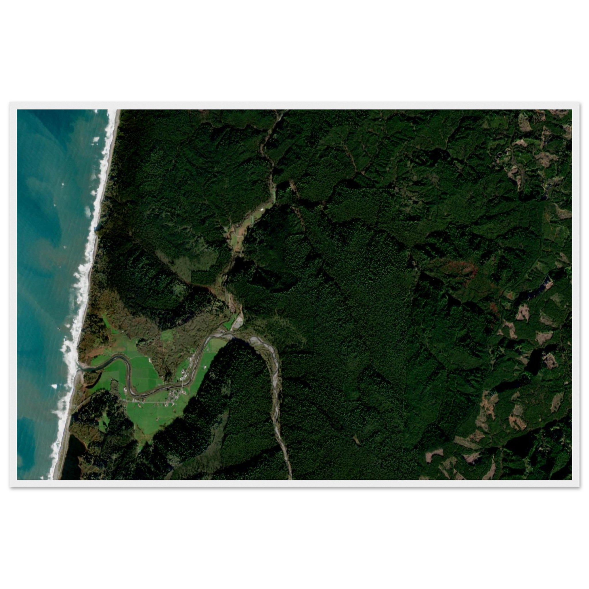Redwood National Park Natural Earth Print - Ink And Atlas