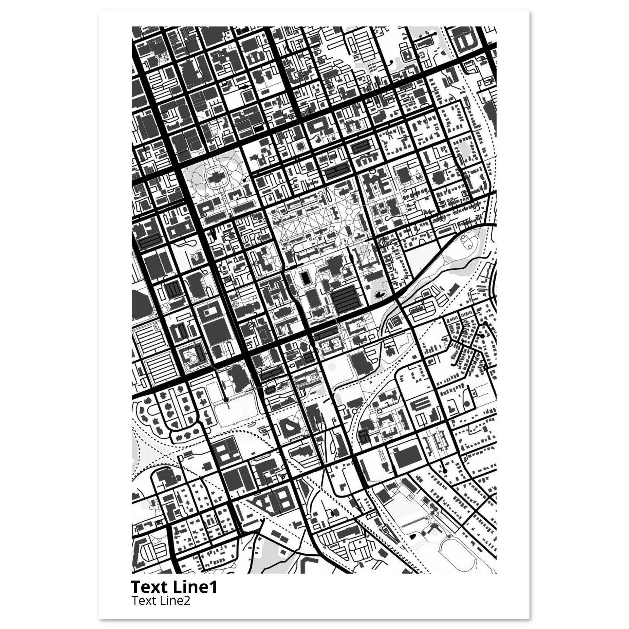 University of SC (Columbia) Campus Map Poster | Graduation Gift - Ink And Atlas