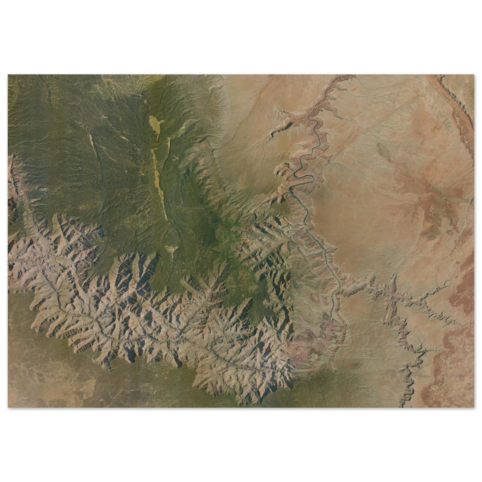 Grand Canyon National Park Natural Earth Print - Ink And Atlas