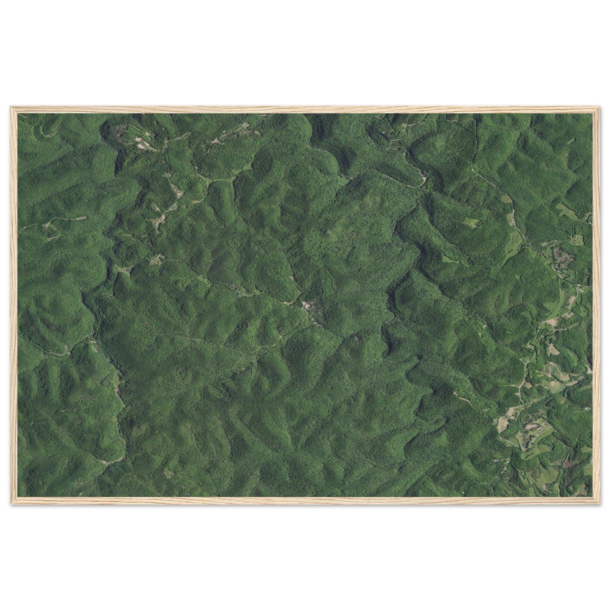 Wind Cave National Park Natural Earth Print - Ink And Atlas