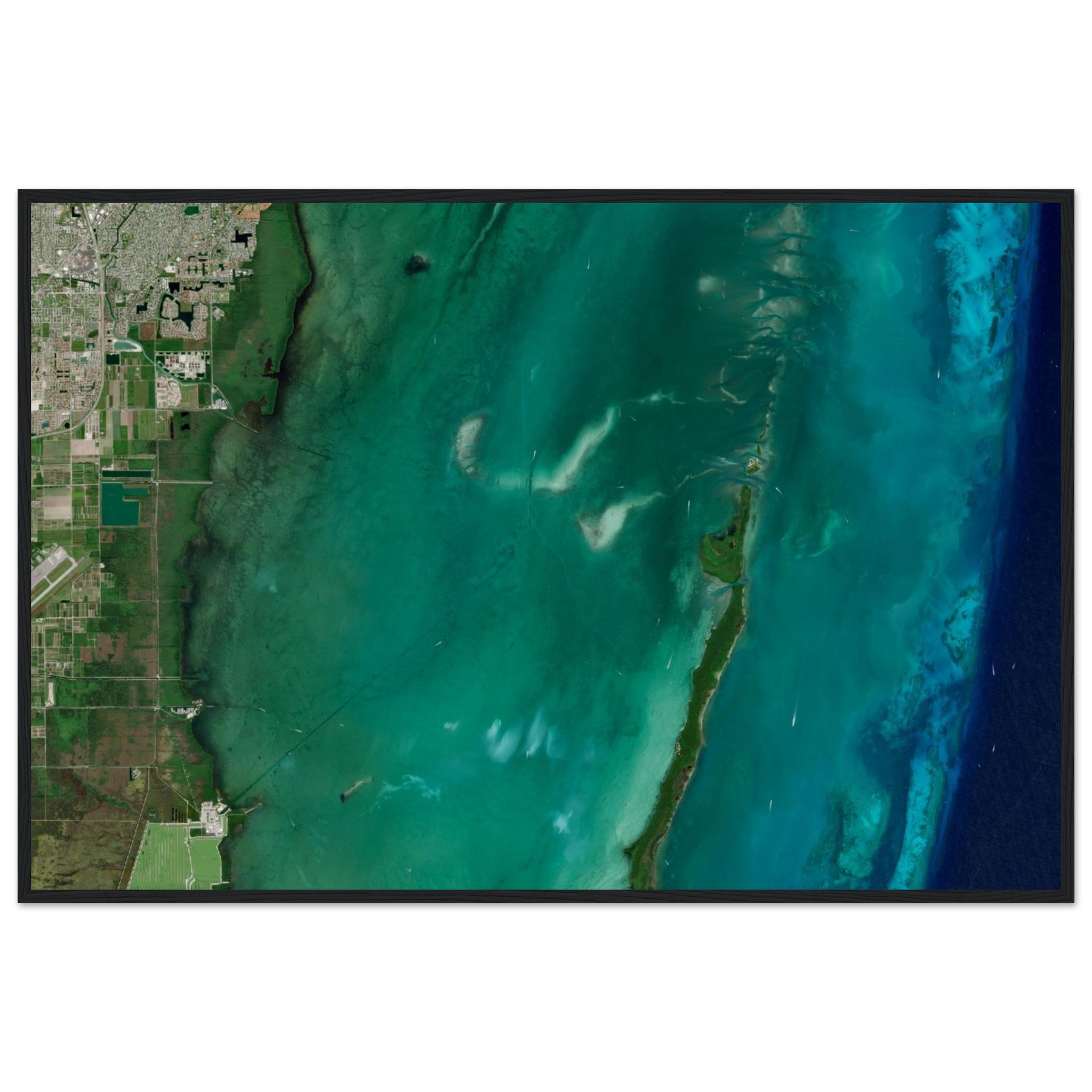 Biscayne National Park Natural Earth Print - Ink And Atlas