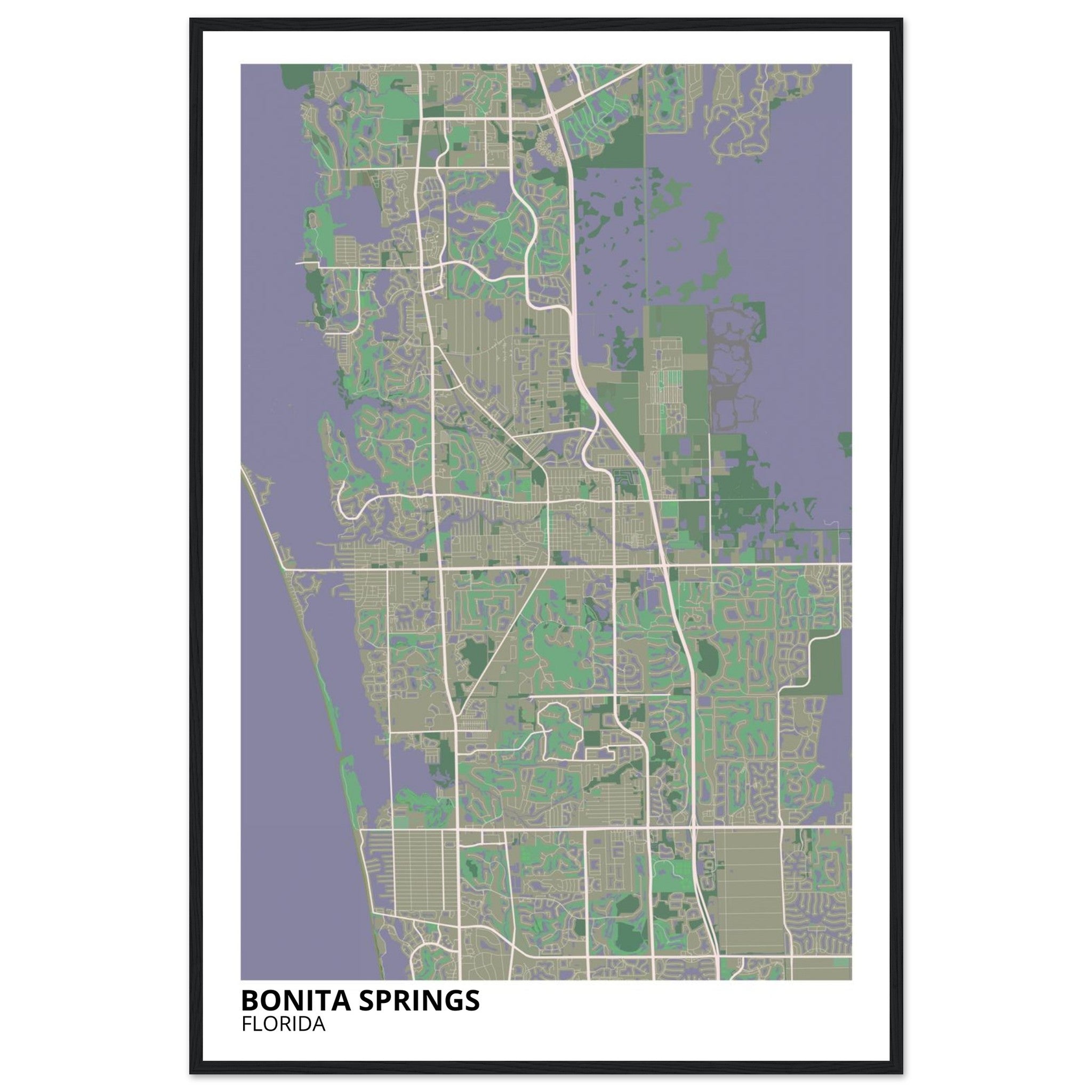 bonita springs map poster print