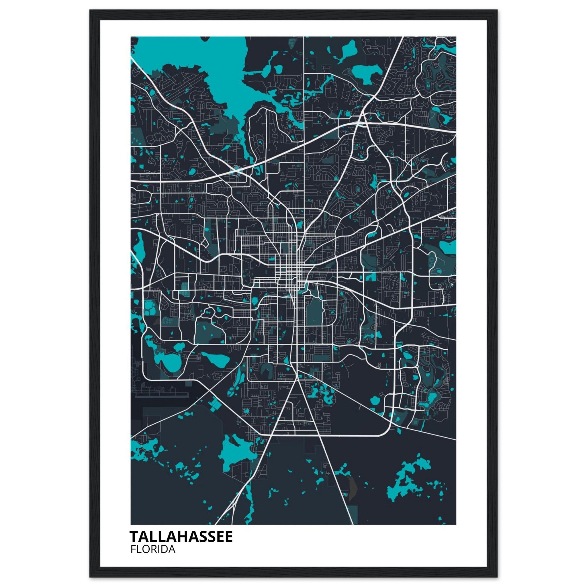 tallahassee map poster print
