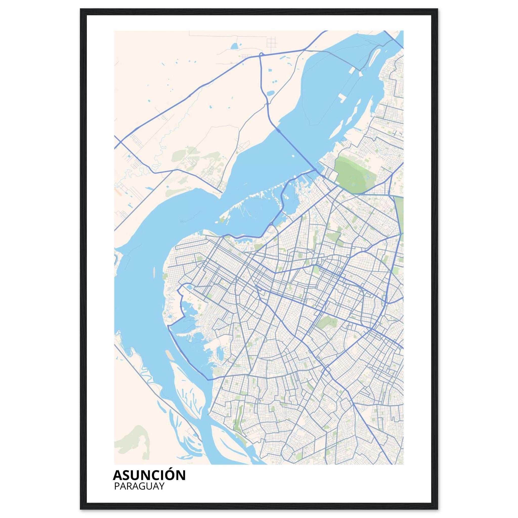 Asunción Paraguay City Map Poster | Custom Map Art Print - Ink And Atlas