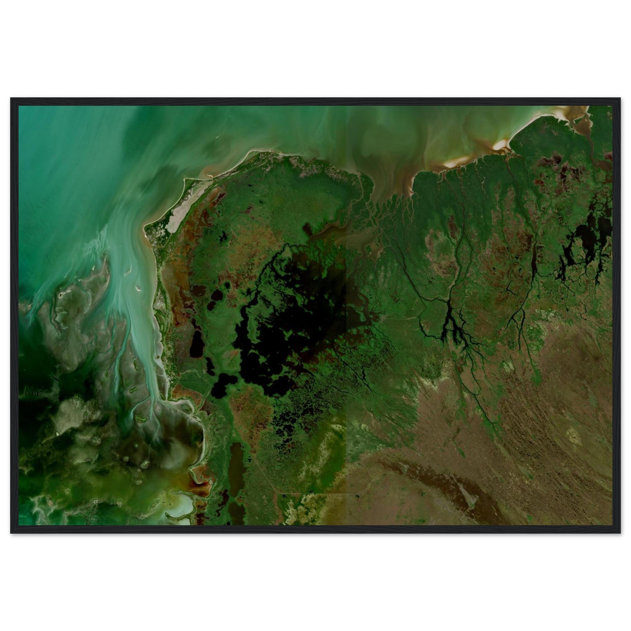 Everglades National Park Natural Earth Print - Ink And Atlas