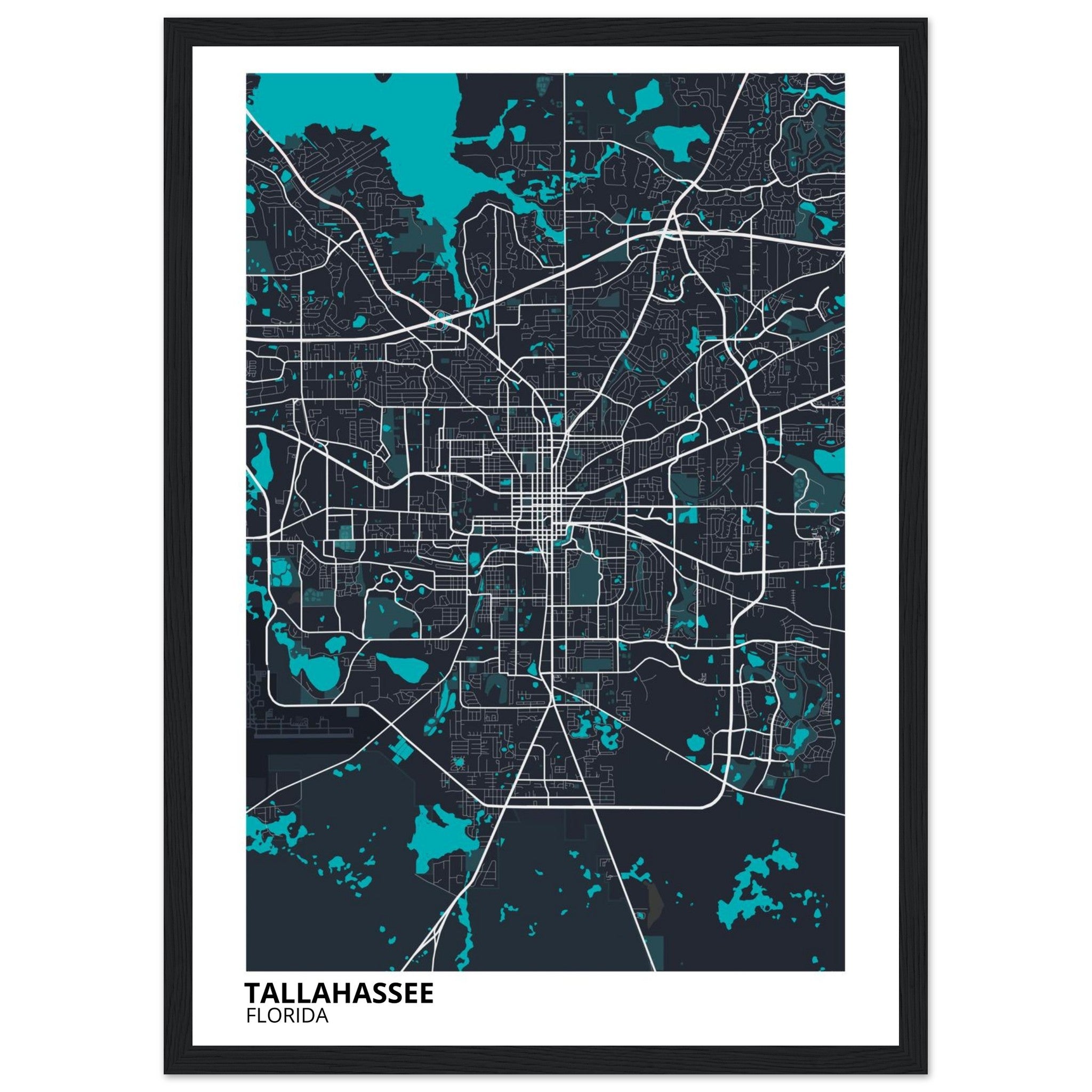 tallahassee map poster print