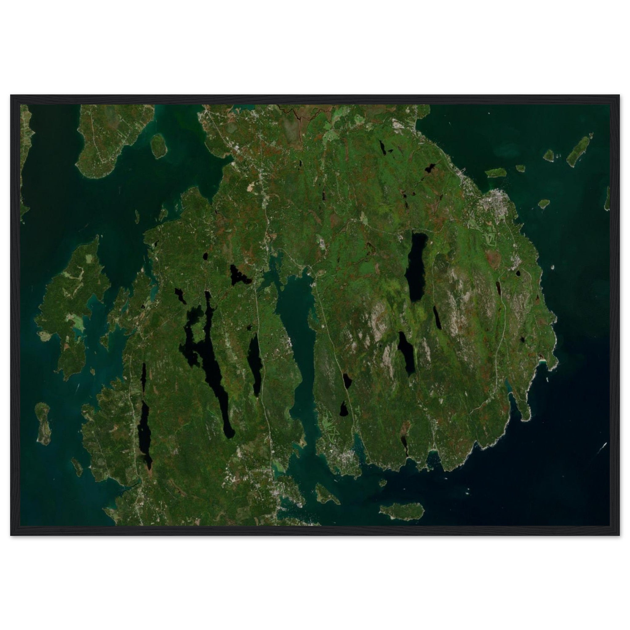 Acadia National Park Natural Earth Print - Ink And Atlas