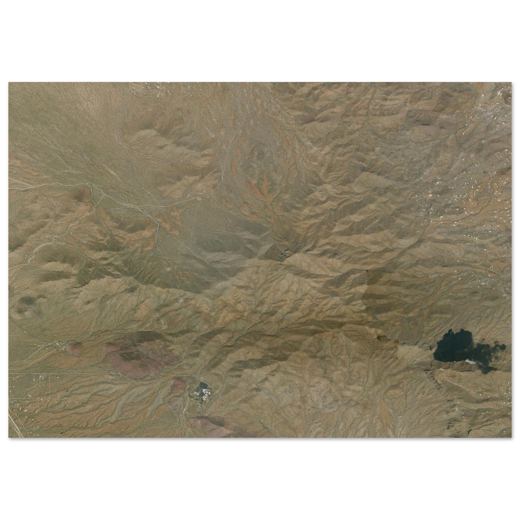 Saguaro National Park Natural Earth Print - Ink And Atlas