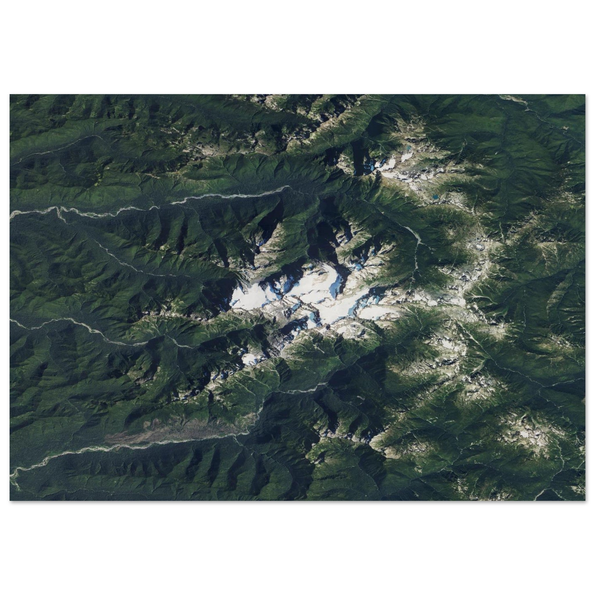 Olympic National Park Natural Earth Print - Ink And Atlas